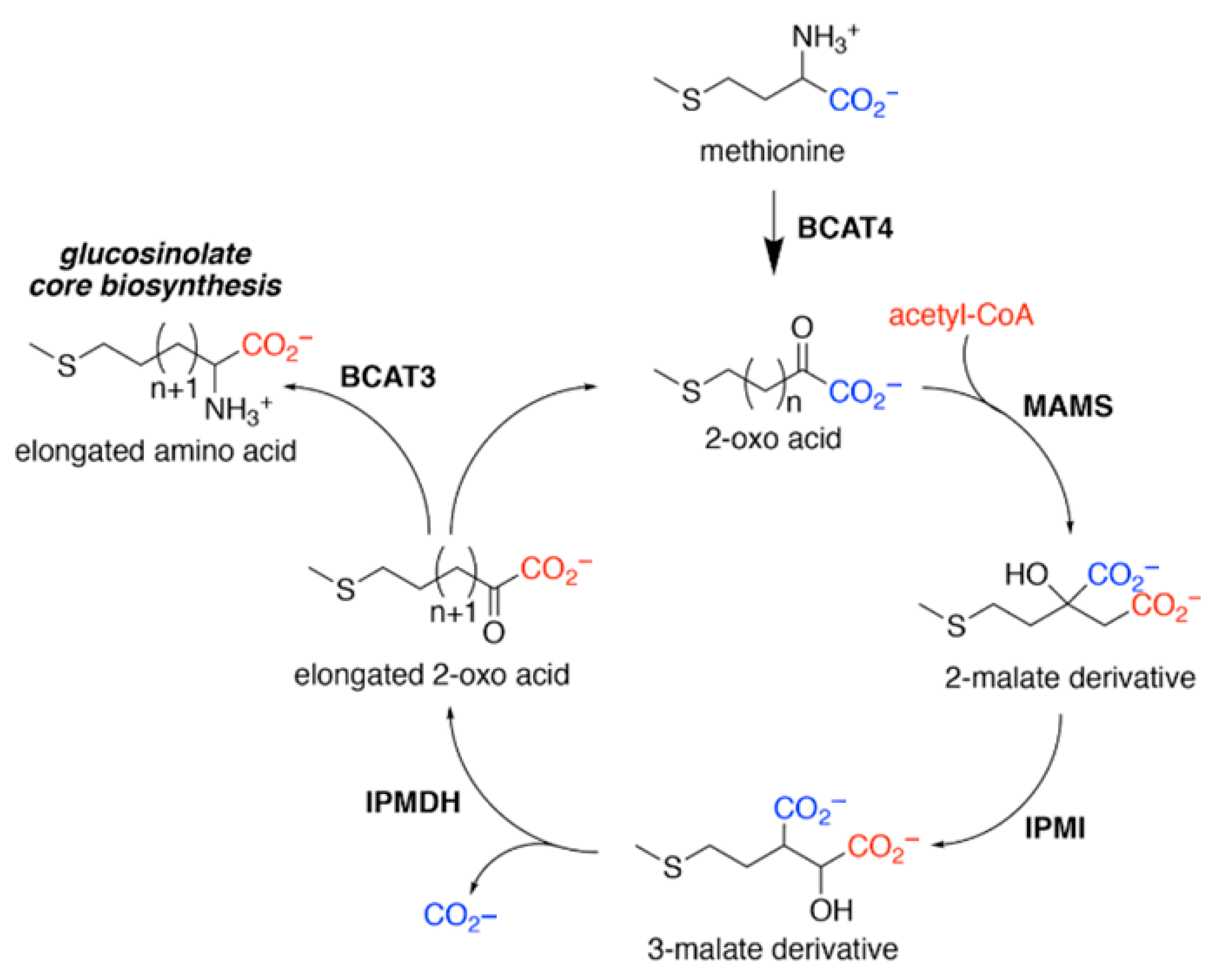 Ijpb 16 00137 g003 Ijpb 16 00137 g003