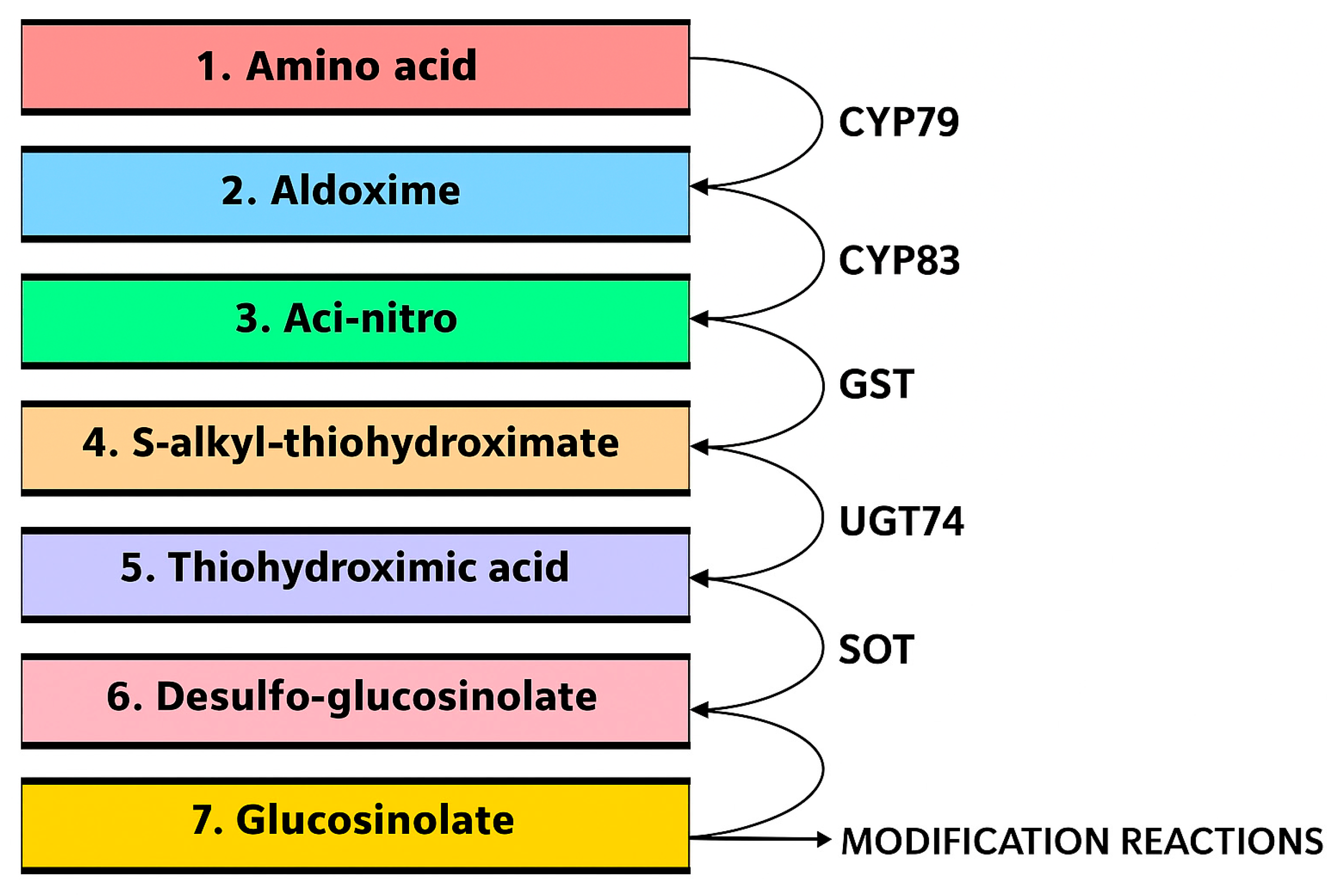 Ijpb 16 00137 g004 Ijpb 16 00137 g004