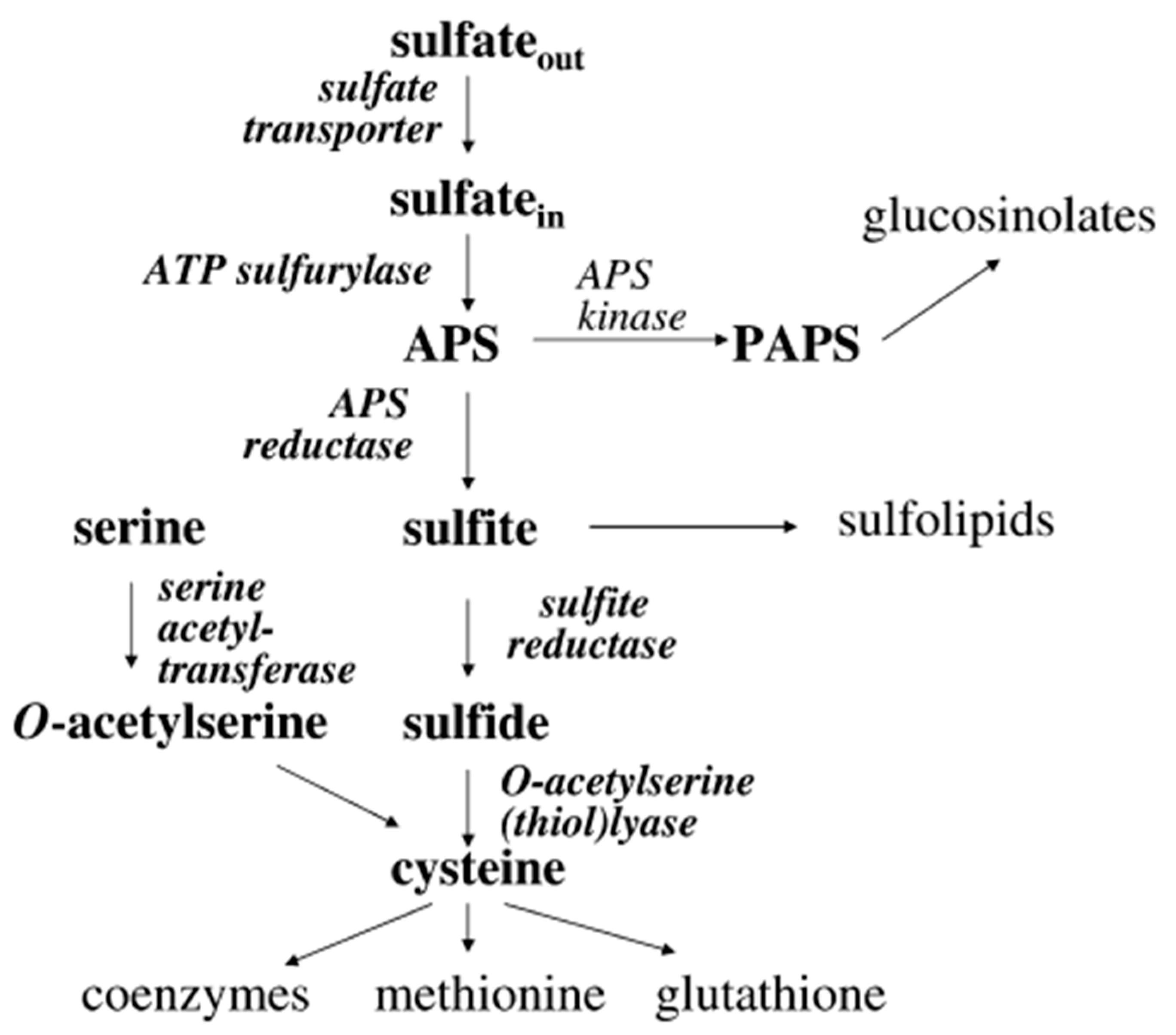 Ijpb 16 00137 g005 Ijpb 16 00137 g005