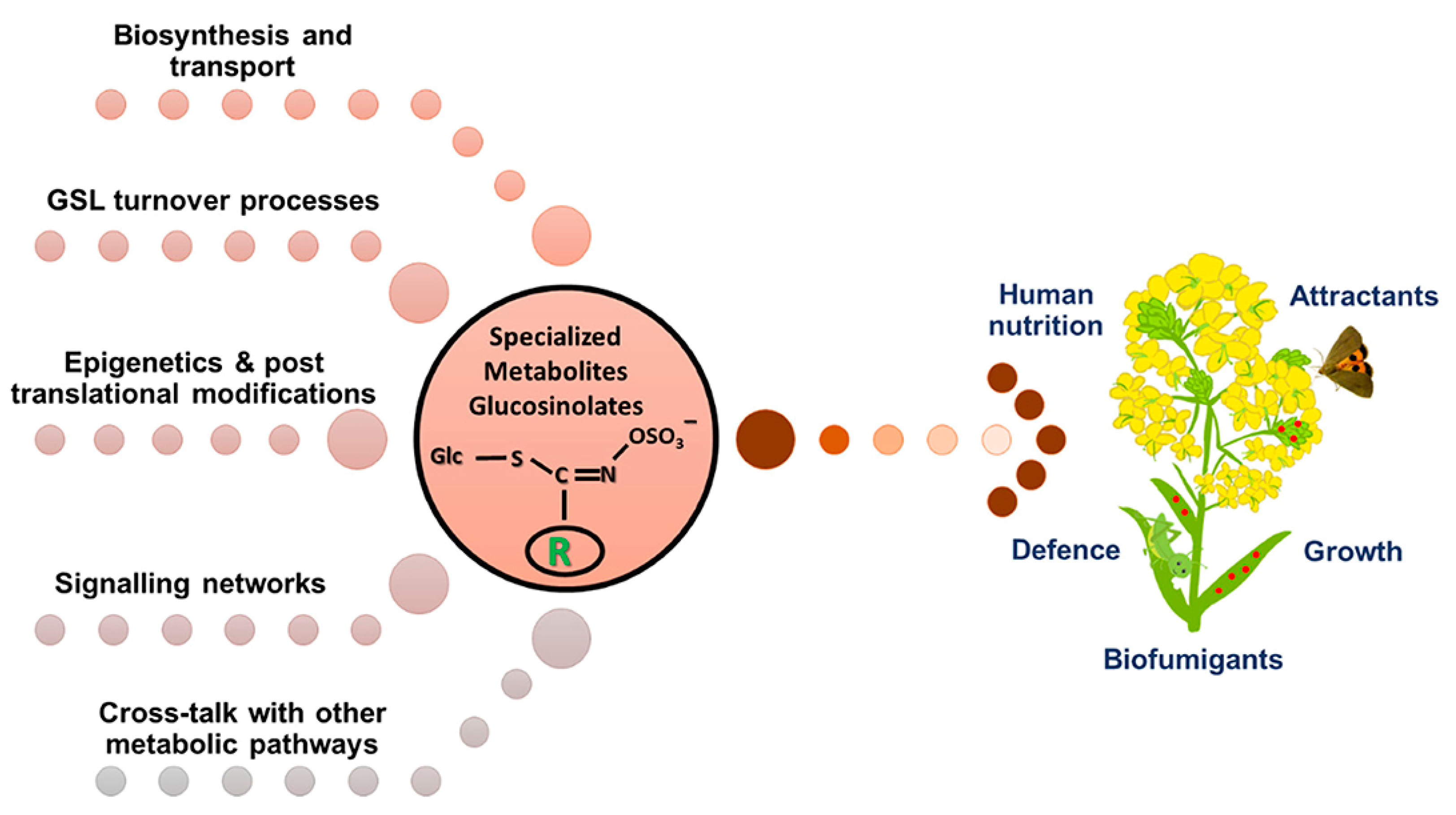 Ijpb 16 00137 g006 Ijpb 16 00137 g006