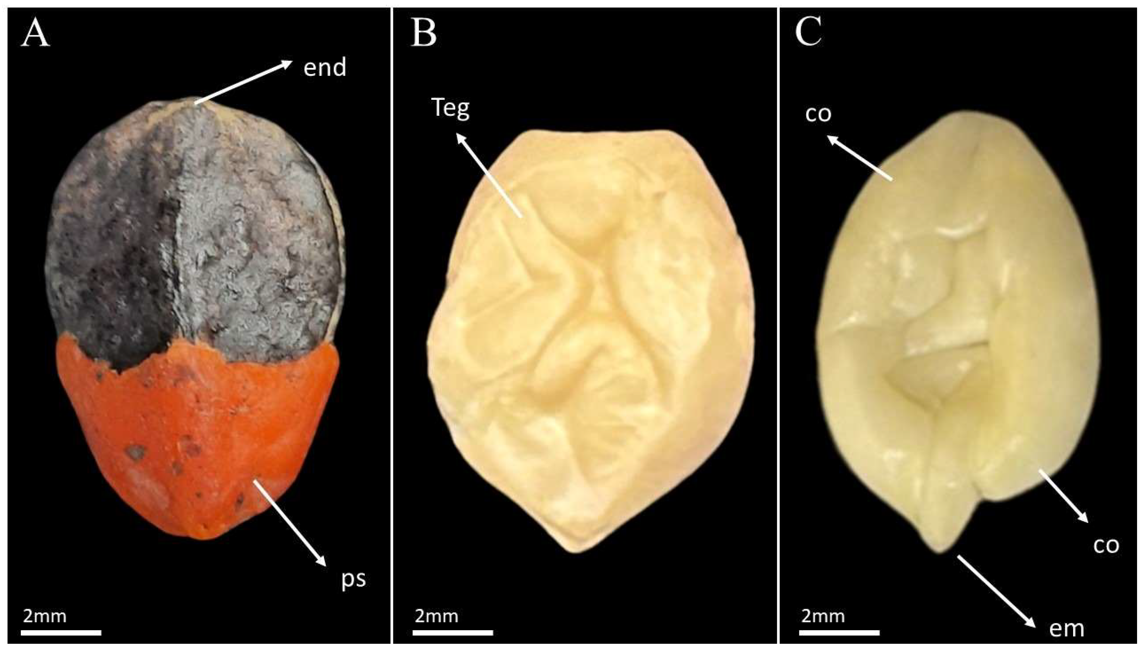 Ijpb 16 00139 g001 Ijpb 16 00139 g001