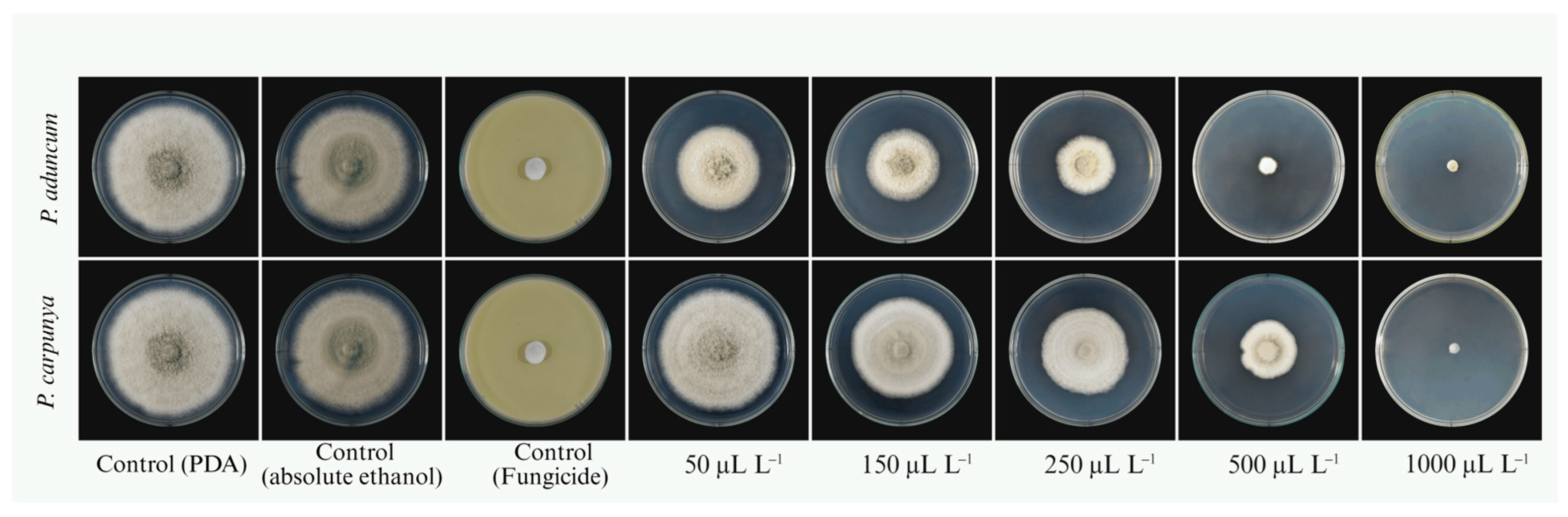 Ijpb 17 00010 g005