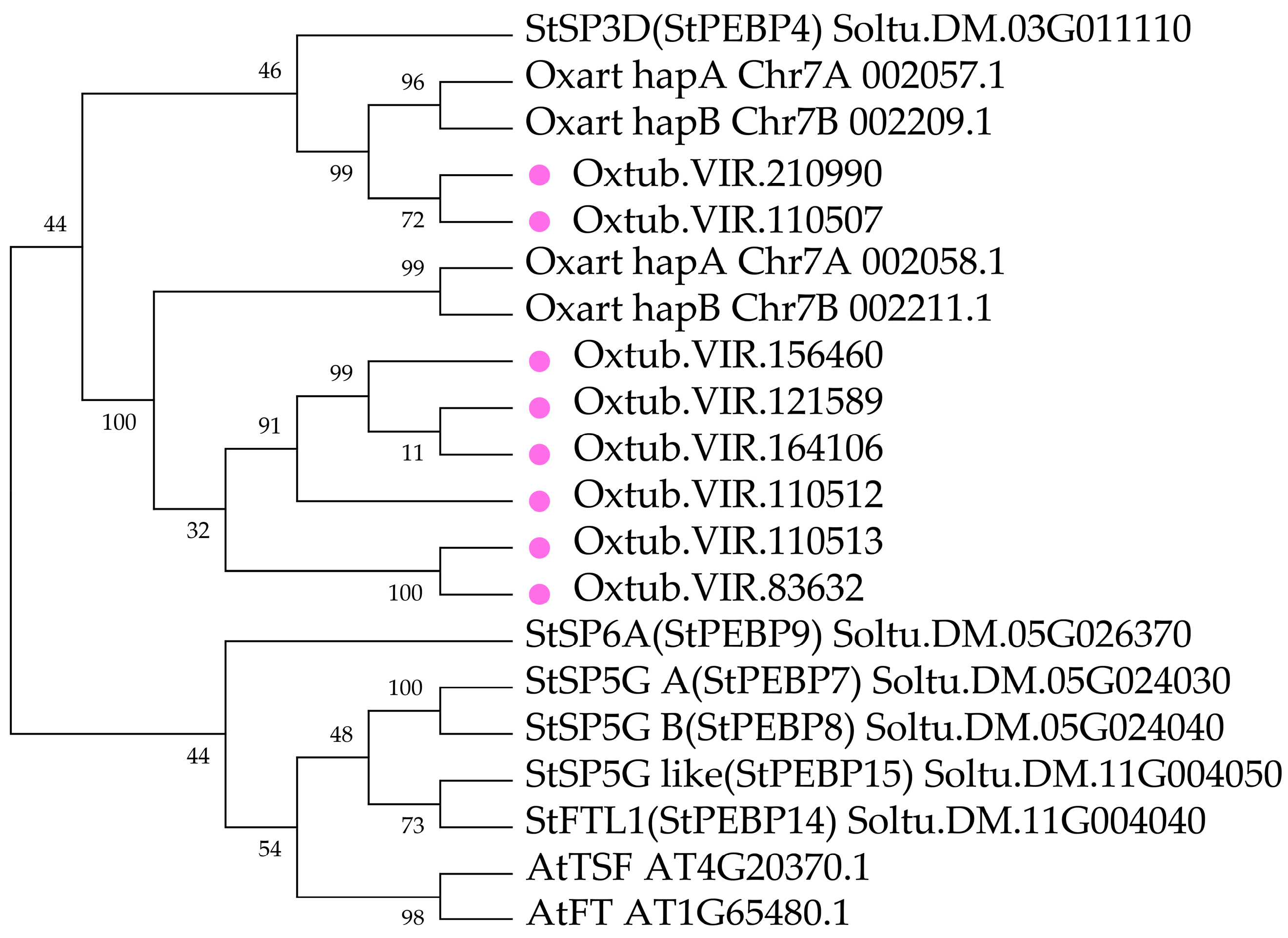 Ijpb 17 00011 g002