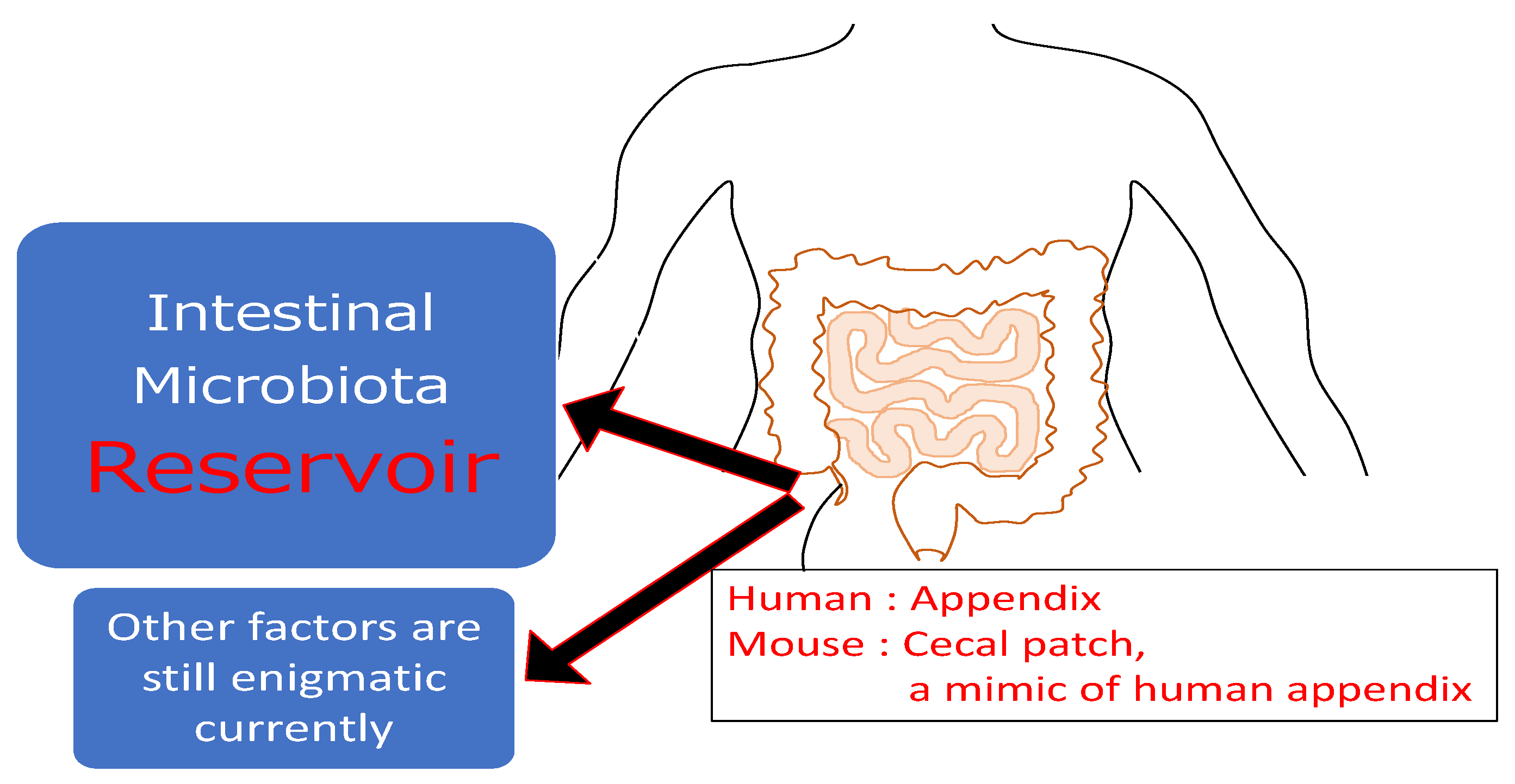 Ijtm 01 00014 g002 Ijtm 01 00014 g002