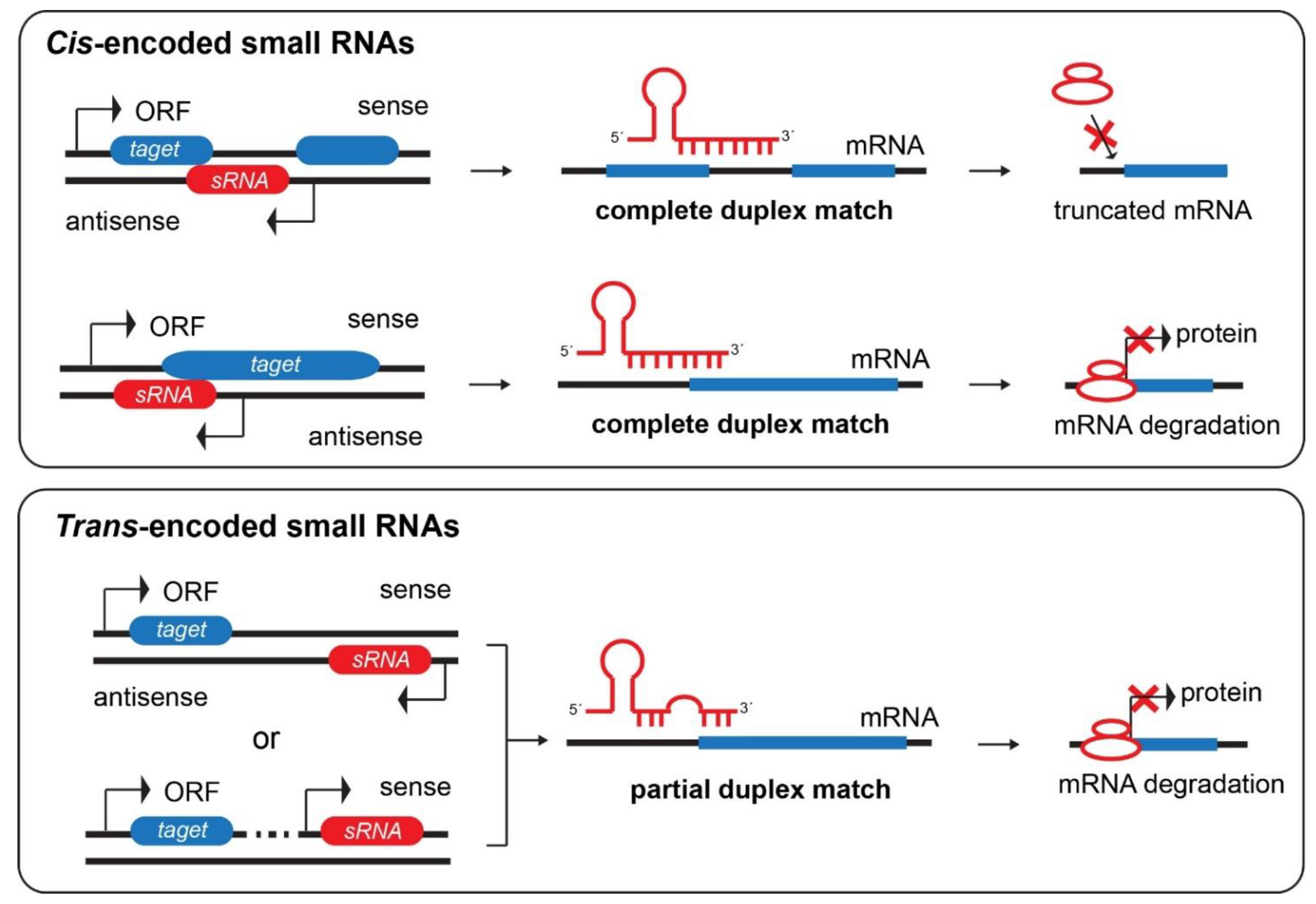 Ijtm 01 00024 g001 Ijtm 01 00024 g001