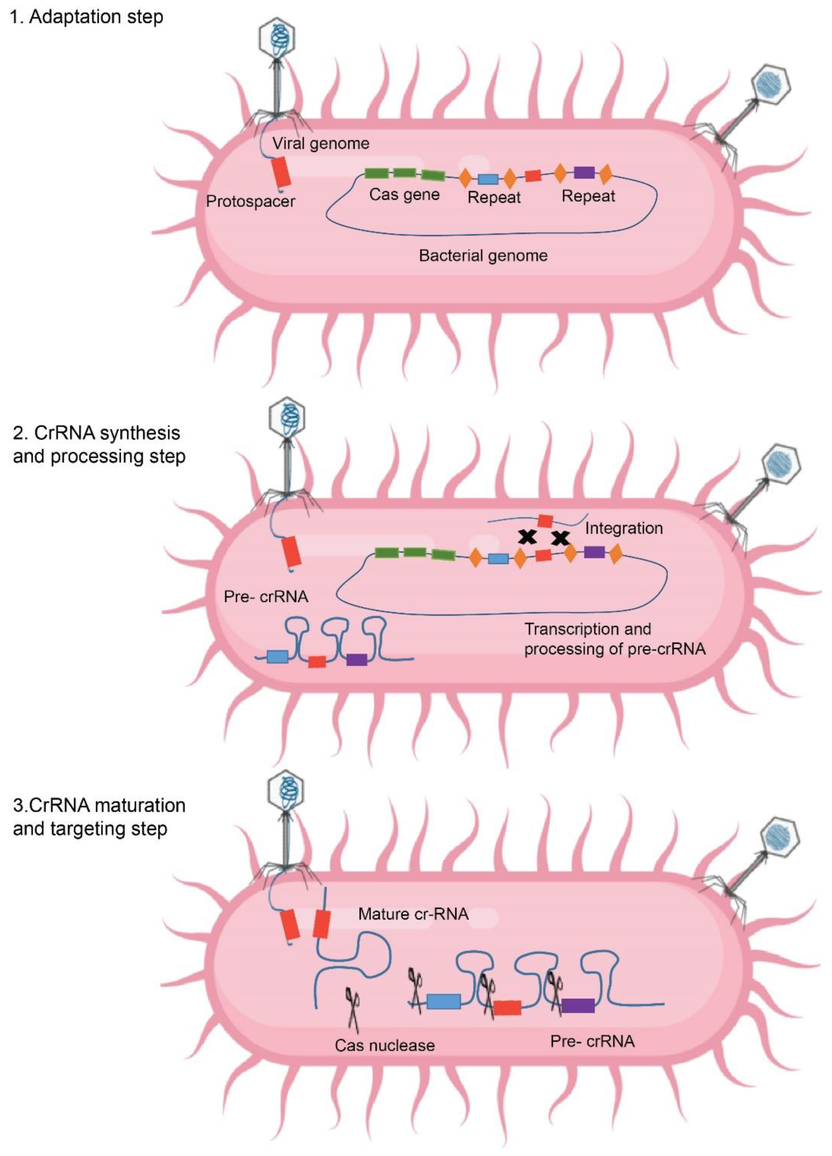 Ijtm 01 00024 g002 Ijtm 01 00024 g002