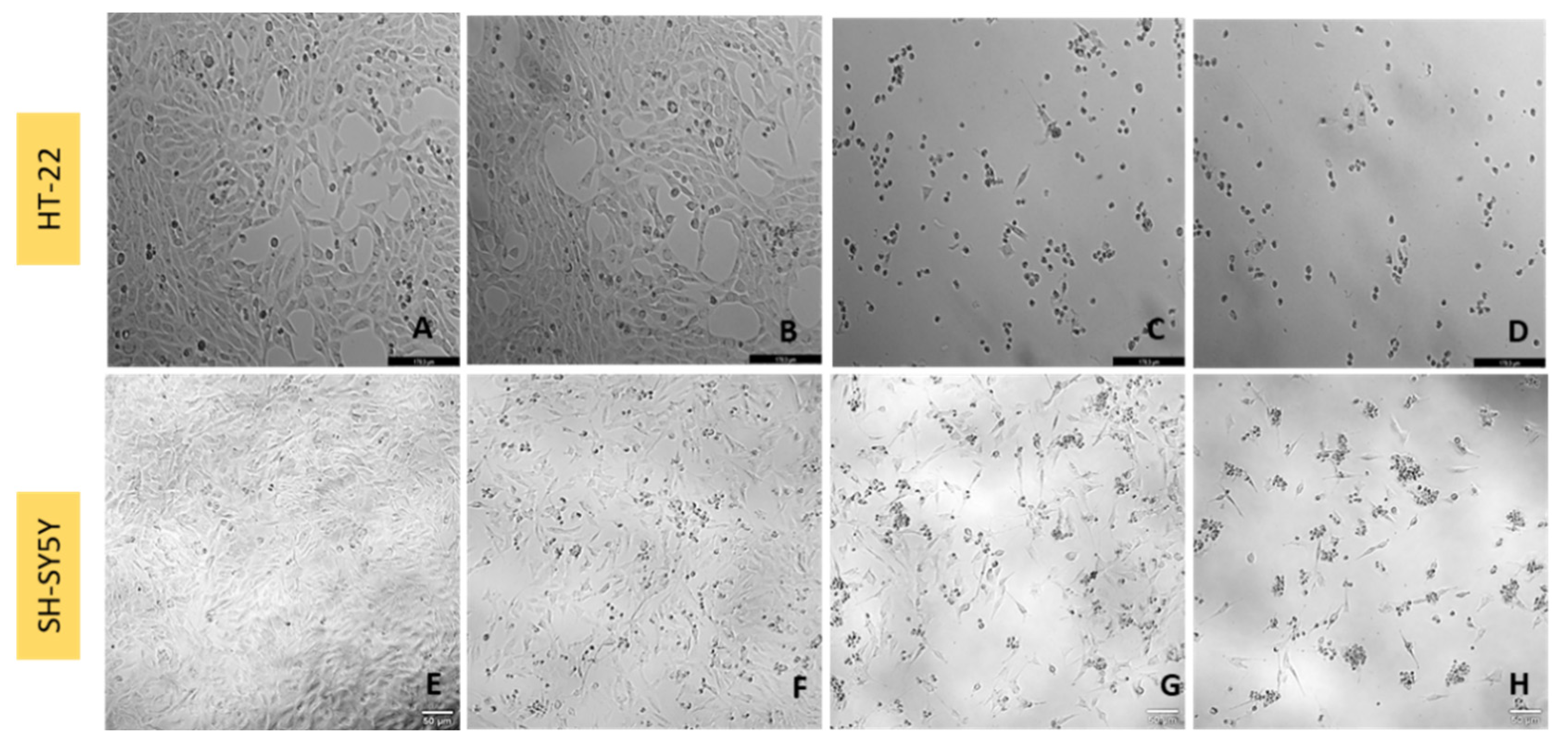 Ijtm 02 00036 g002 550