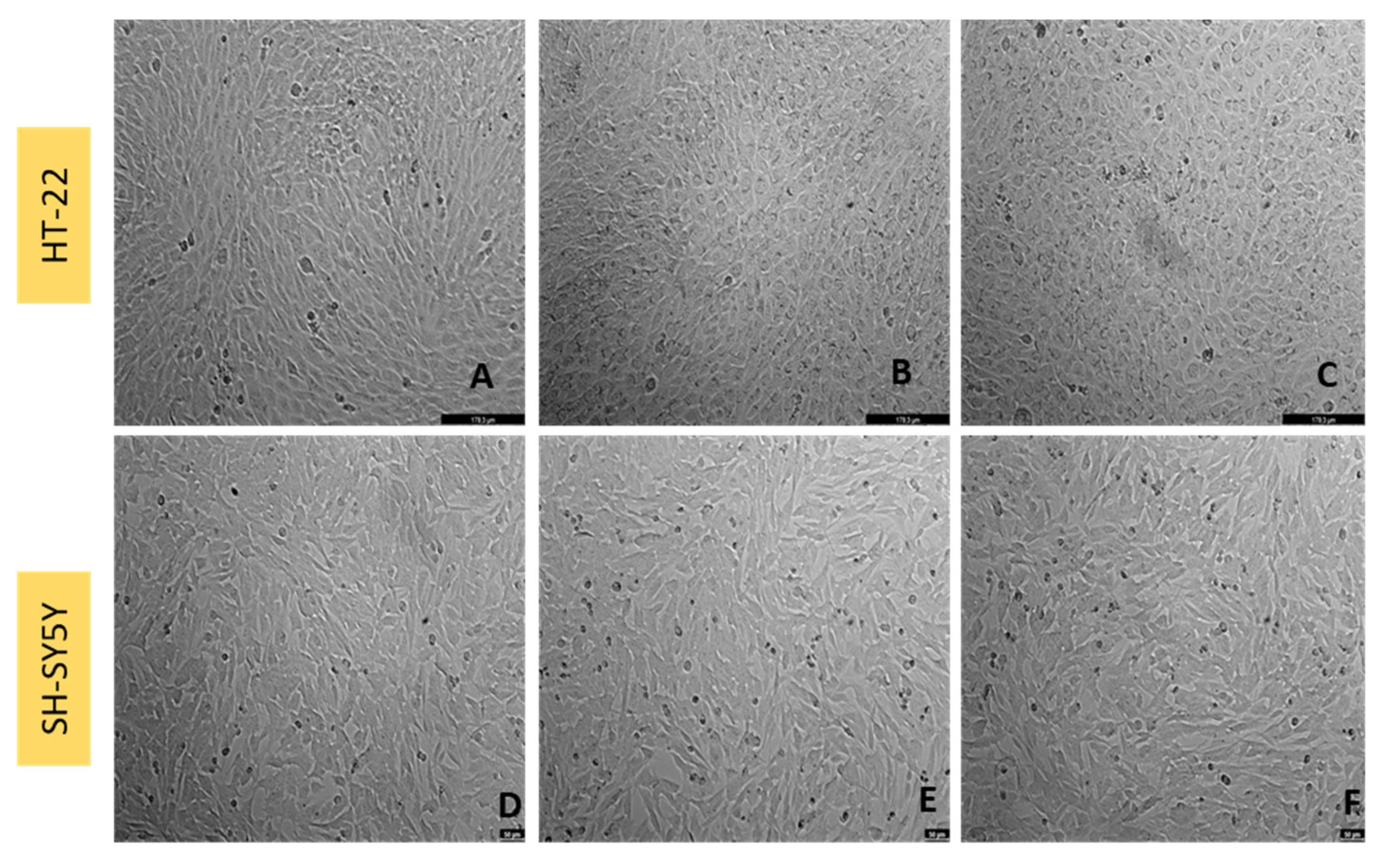 Ijtm 02 00036 g006 550