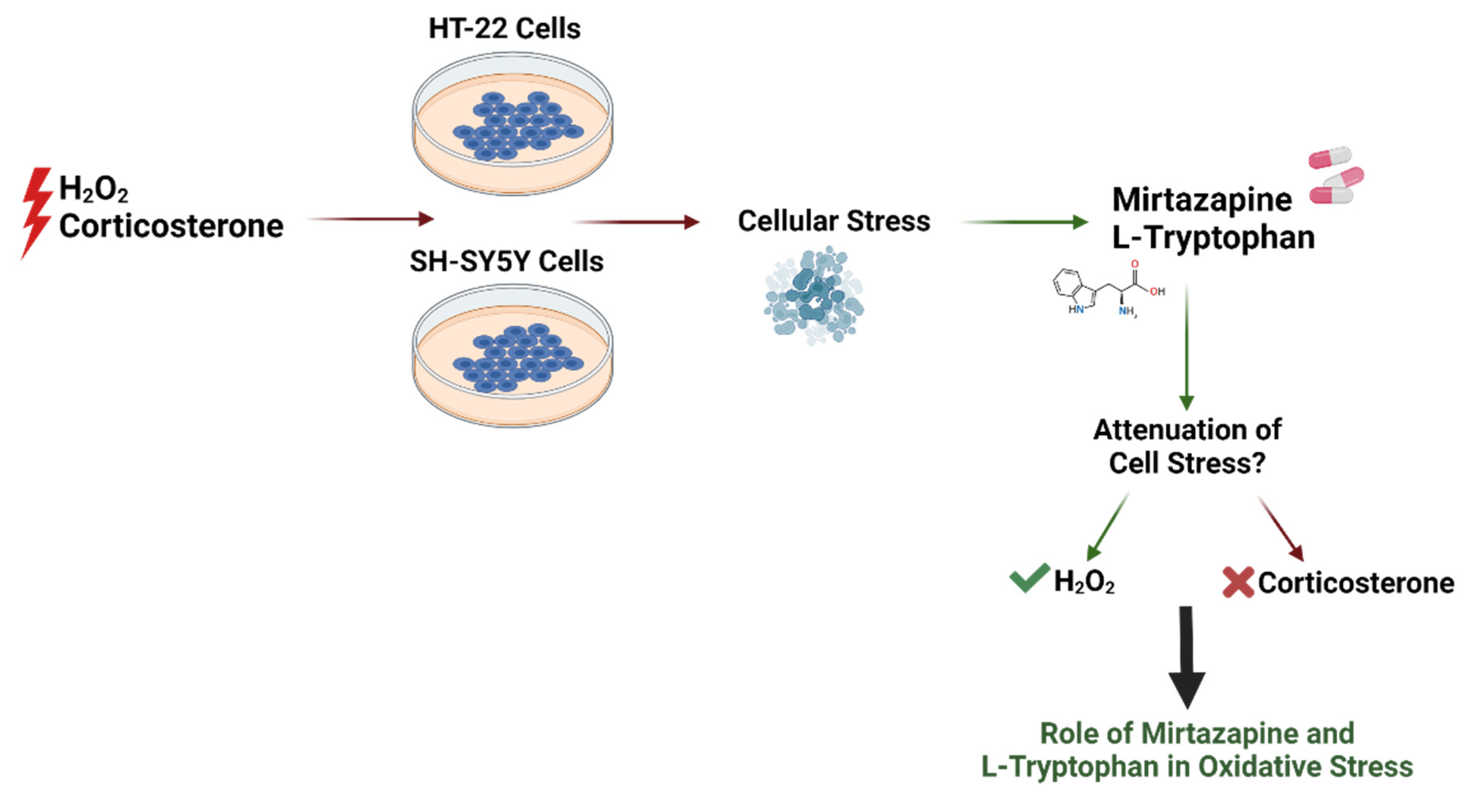 Ijtm 02 00036 g023 550