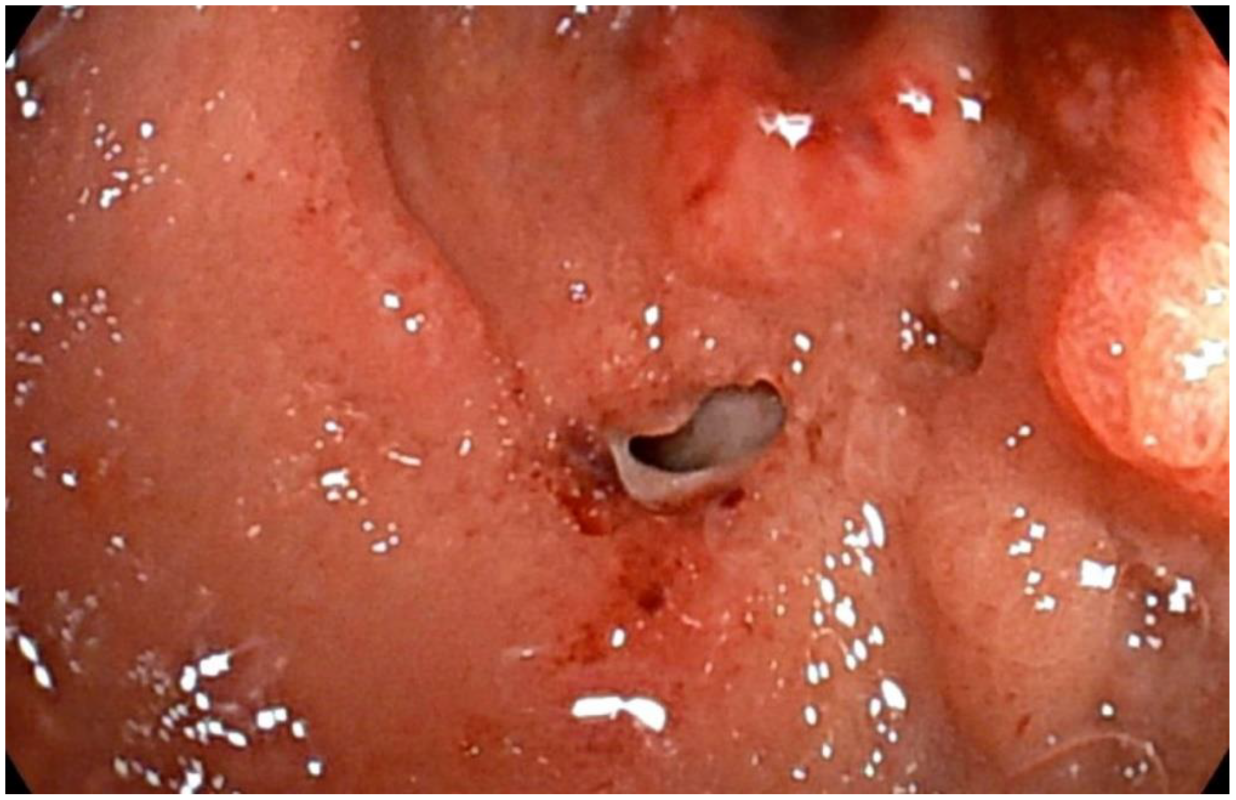 Ijtm 02 00040 g002 Ijtm 02 00040 g002