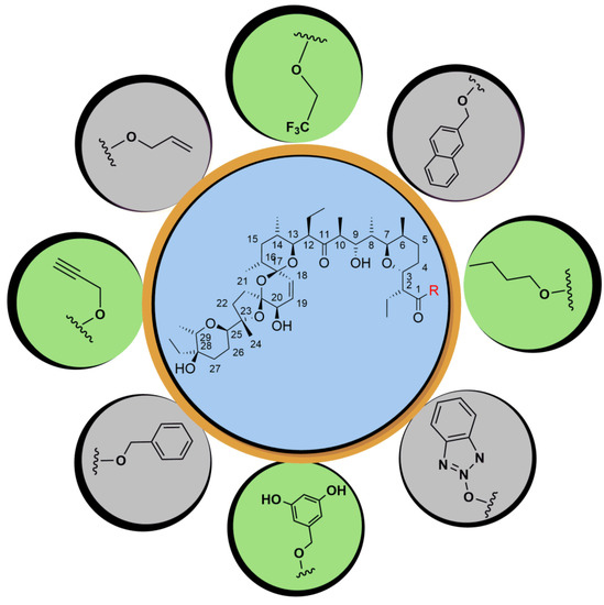 A Concise Review of Prodigious Salinomycin and Its