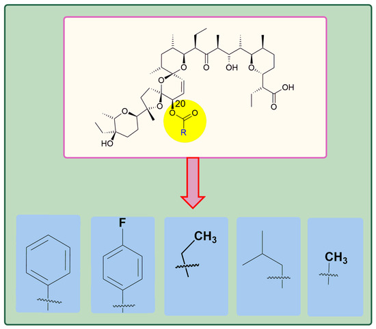 A Concise Review of Prodigious Salinomycin and Its