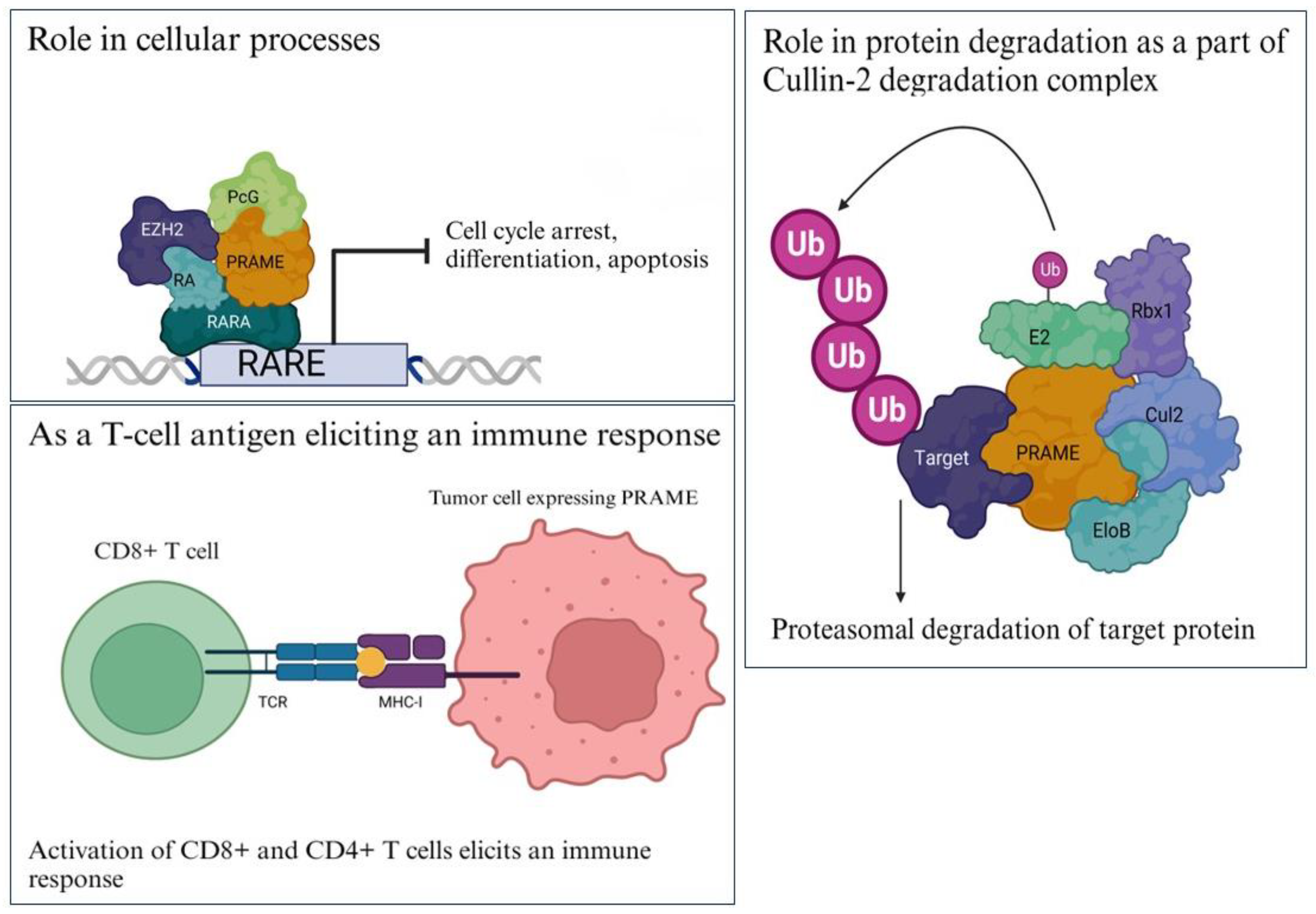 Ijtm 03 00024 g002 Ijtm 03 00024 g002
