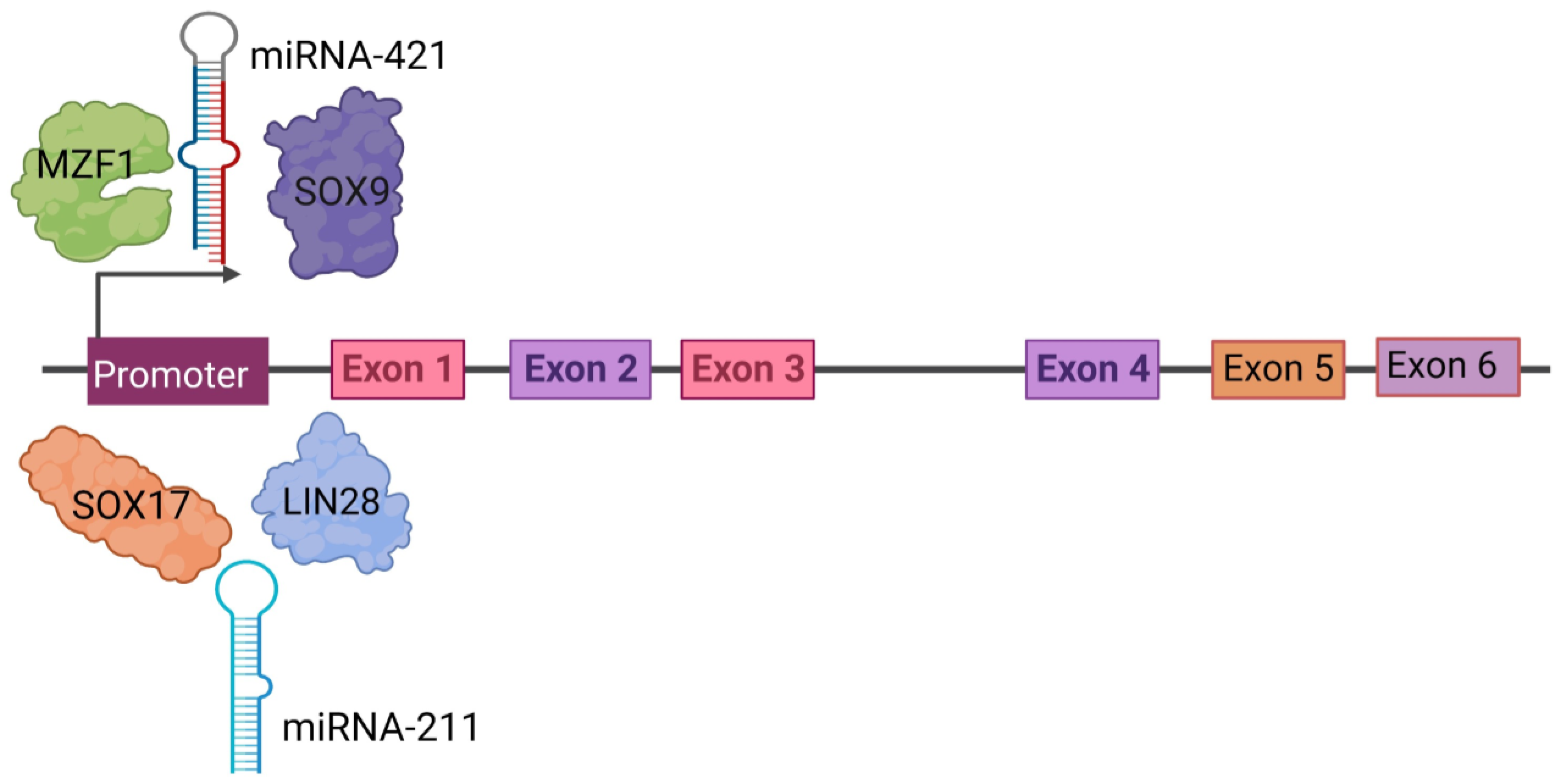 Ijtm 03 00024 g003 Ijtm 03 00024 g003