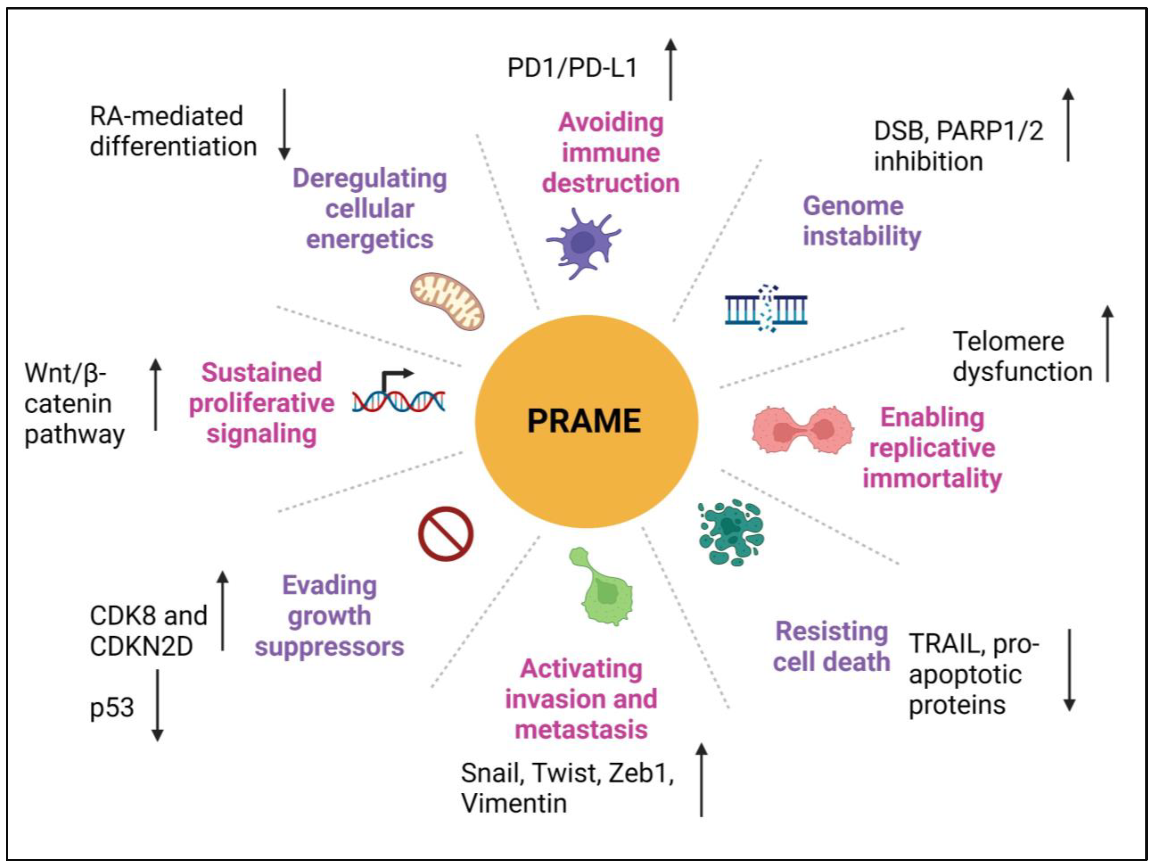 Ijtm 03 00024 g004 Ijtm 03 00024 g004