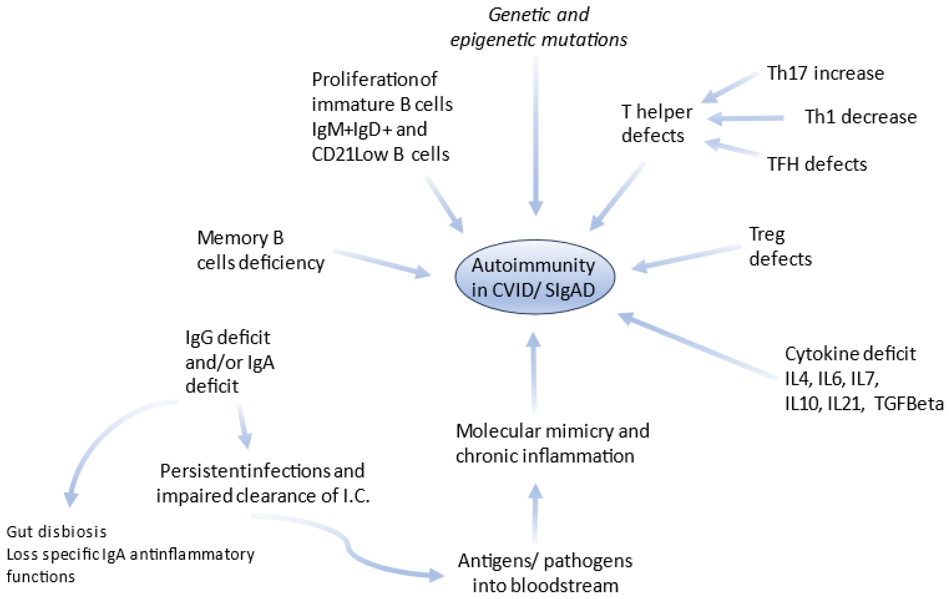 Nfkb2 deficiency and its impact on plasma cells and immunoglobulin