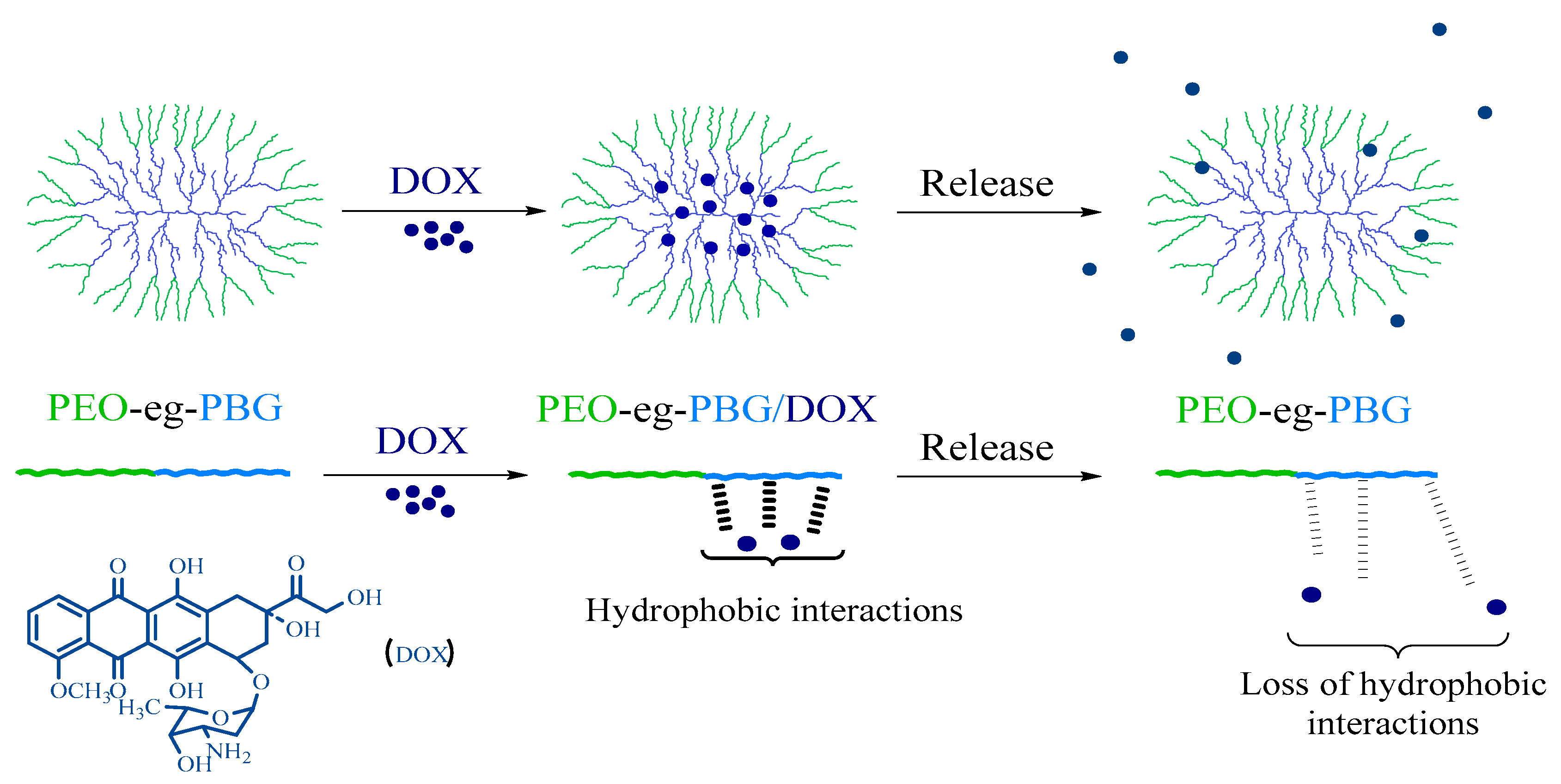 Ijtm 03 00035 sch003