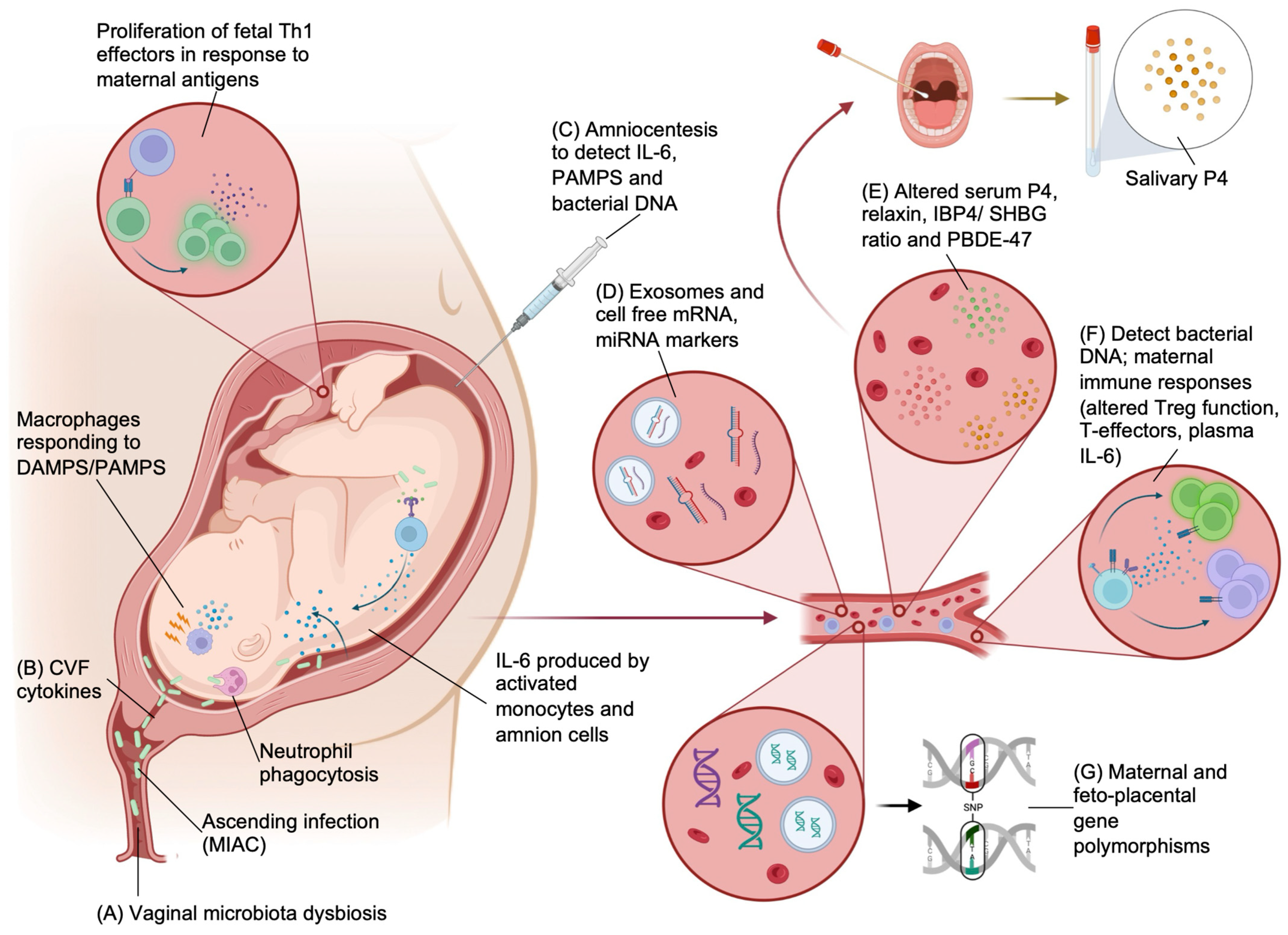 Ijtm 04 00002 g004 Ijtm 04 00002 g004