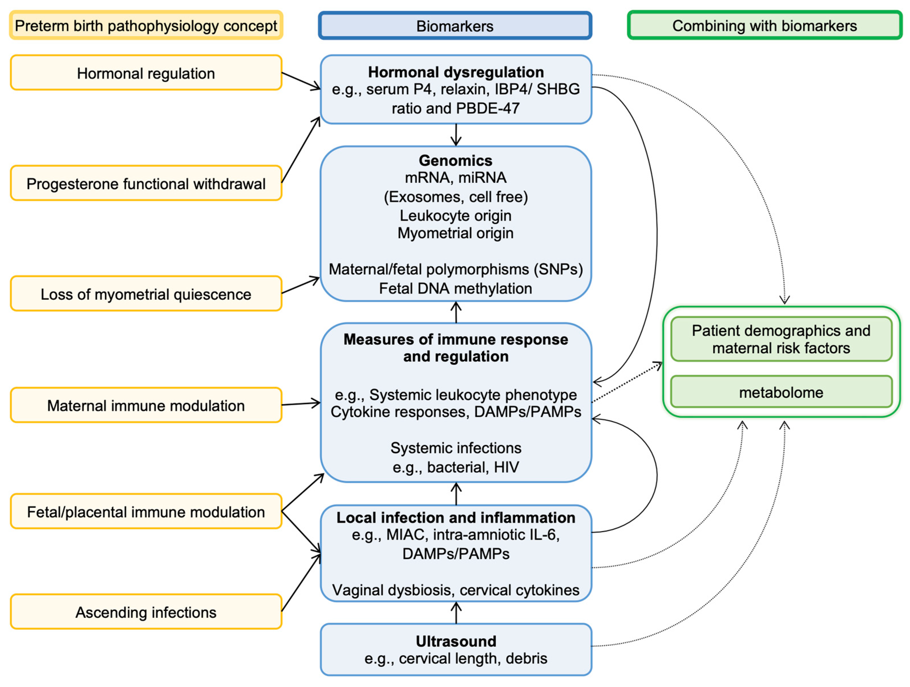 Ijtm 04 00002 g005 Ijtm 04 00002 g005