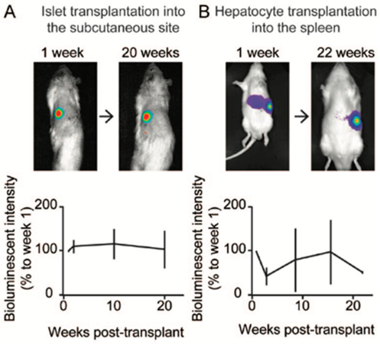Ijtm 04 00039 g004 Ijtm 04 00039 g004