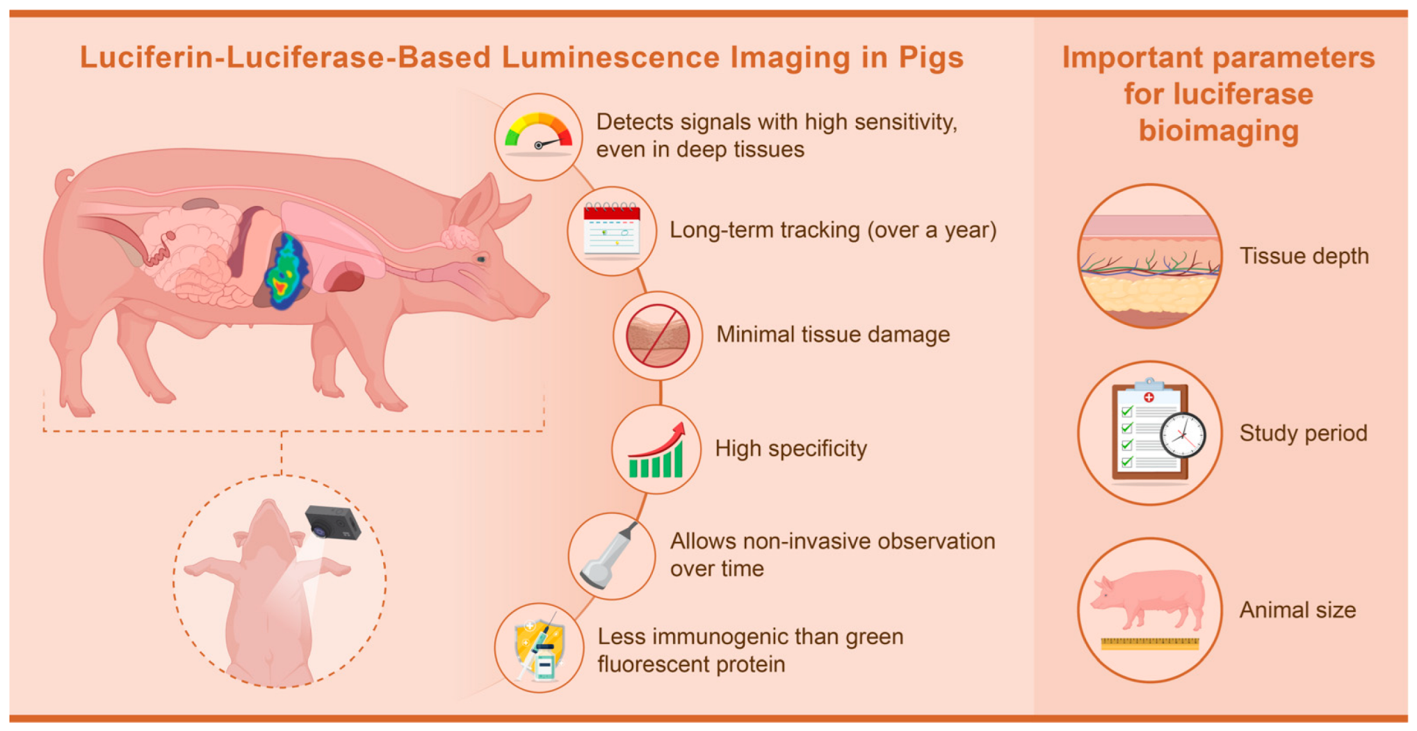 Ijtm 04 00039 g005 Ijtm 04 00039 g005