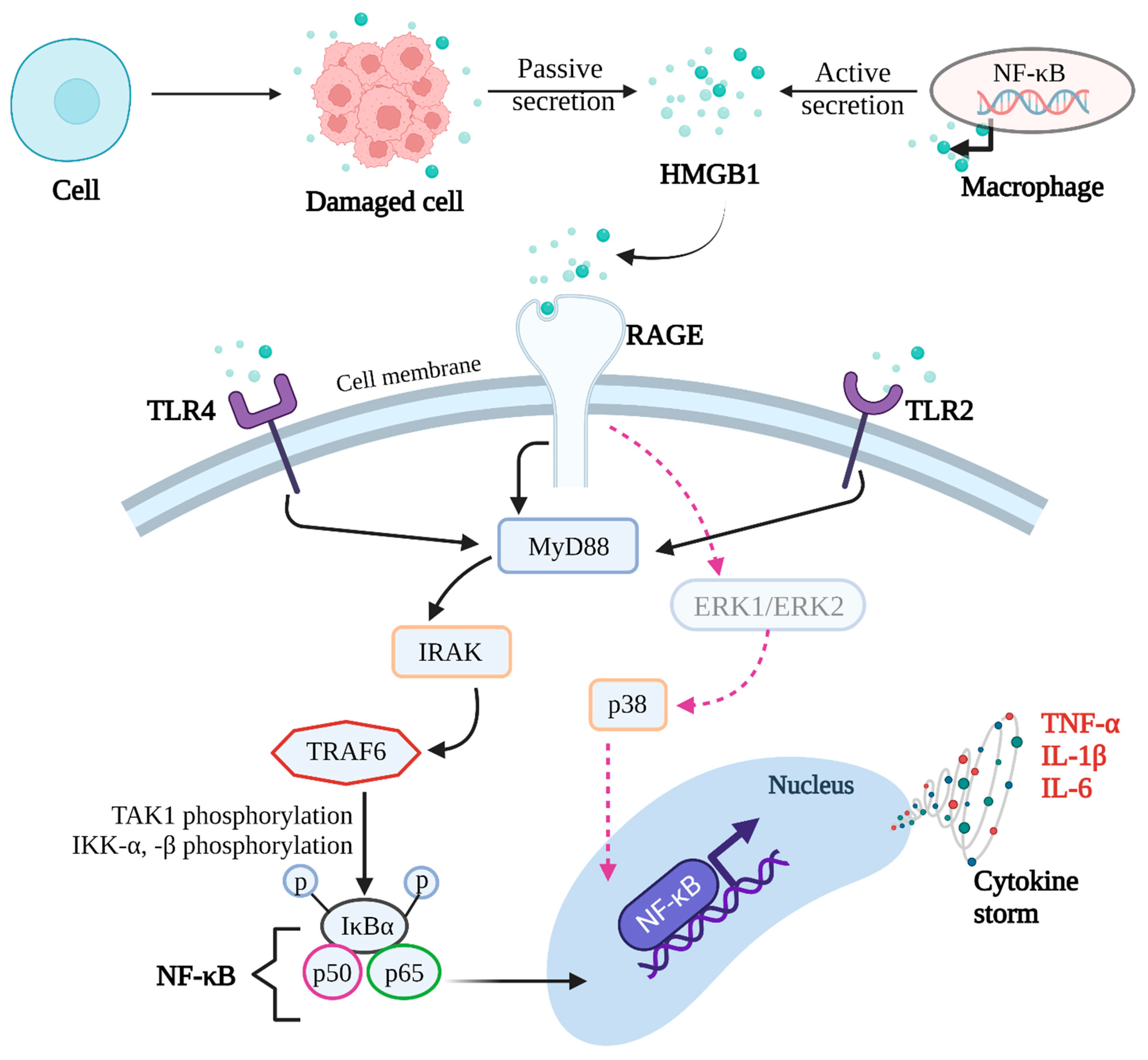 Ijtm 05 00035 g001 Ijtm 05 00035 g001