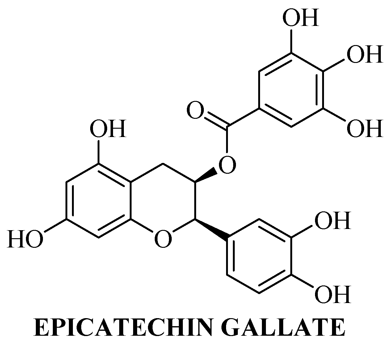 Ijtm 05 00035 g009 Ijtm 05 00035 g009