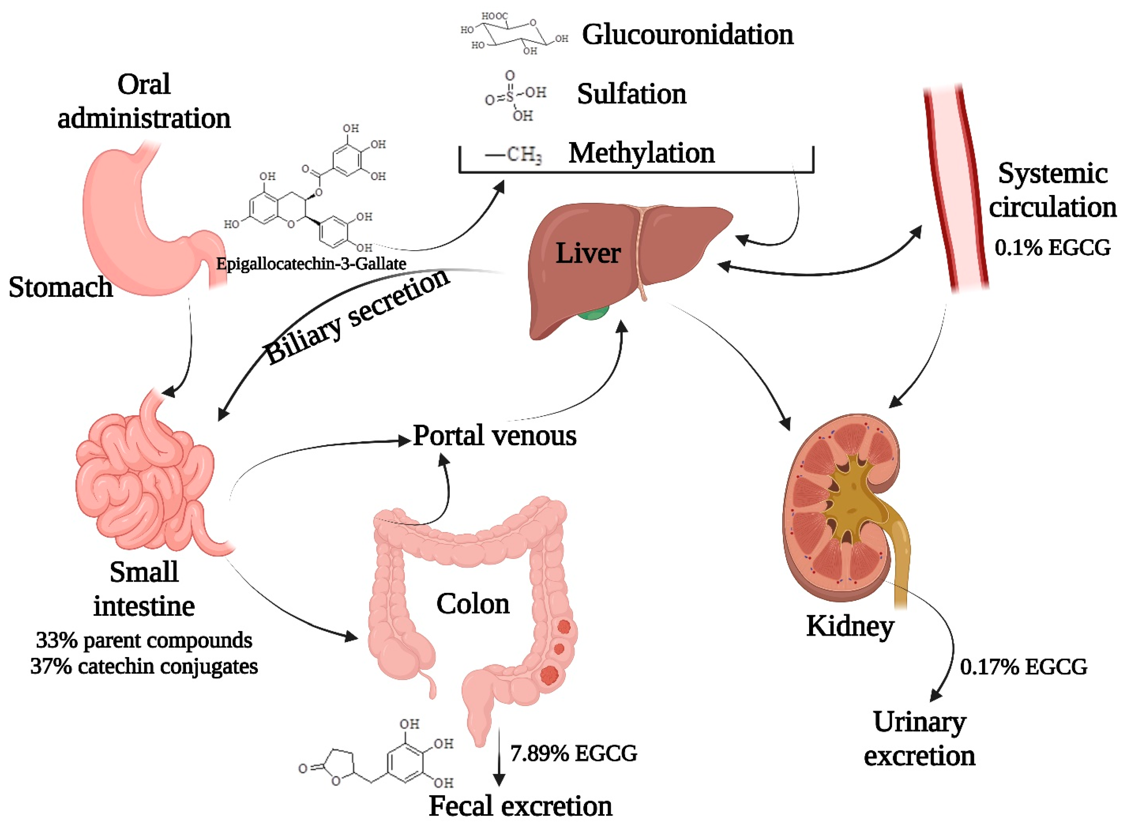 Ijtm 05 00035 g010 Ijtm 05 00035 g010