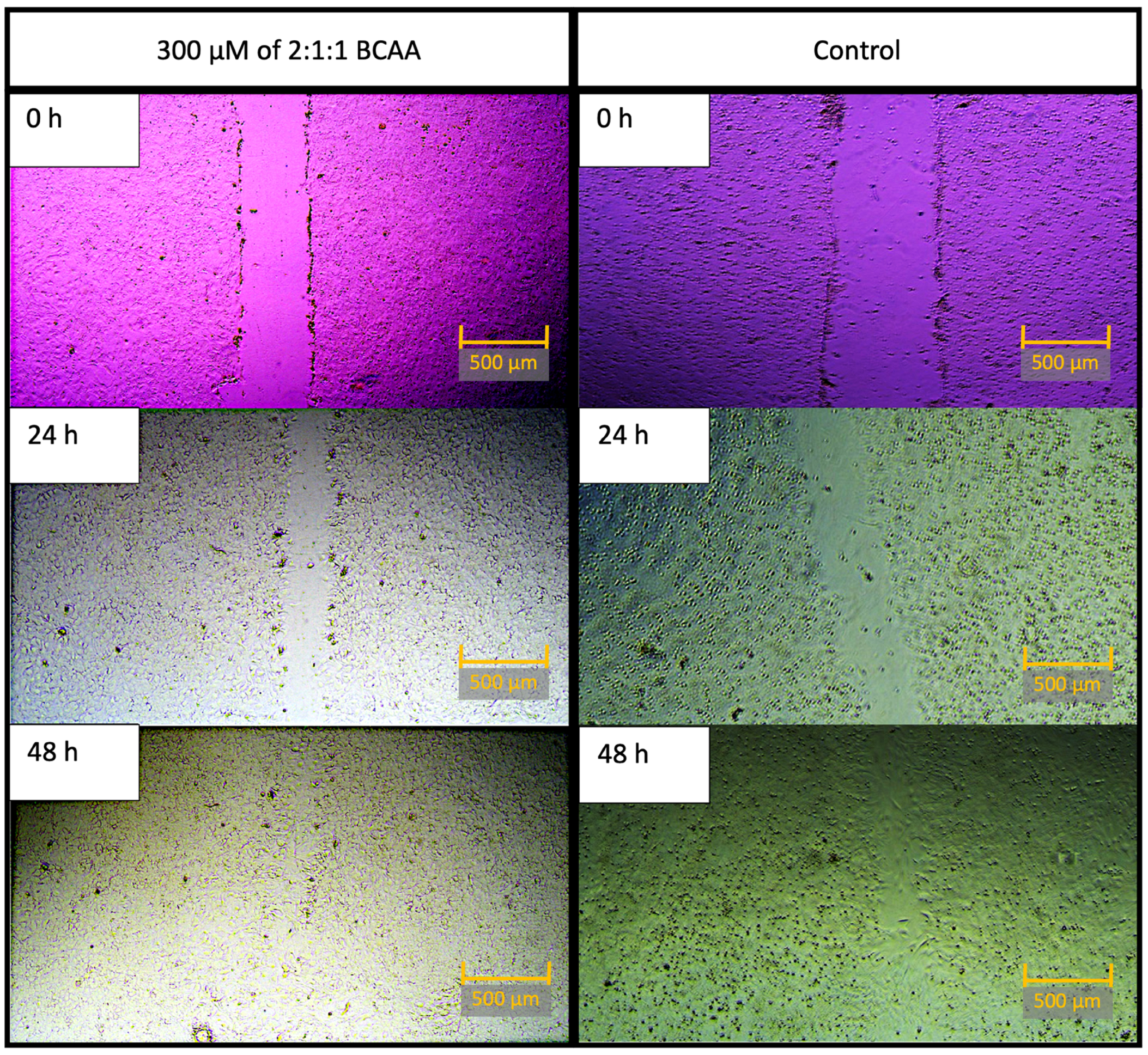 Ijtm 05 00042 g001 Ijtm 05 00042 g001