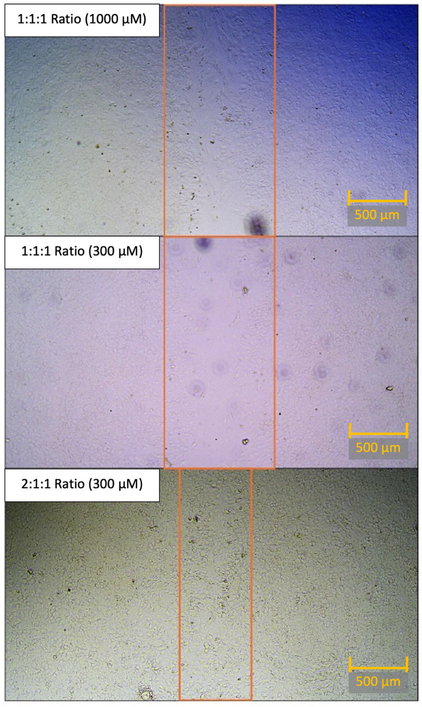 Ijtm 05 00042 g006 Ijtm 05 00042 g006