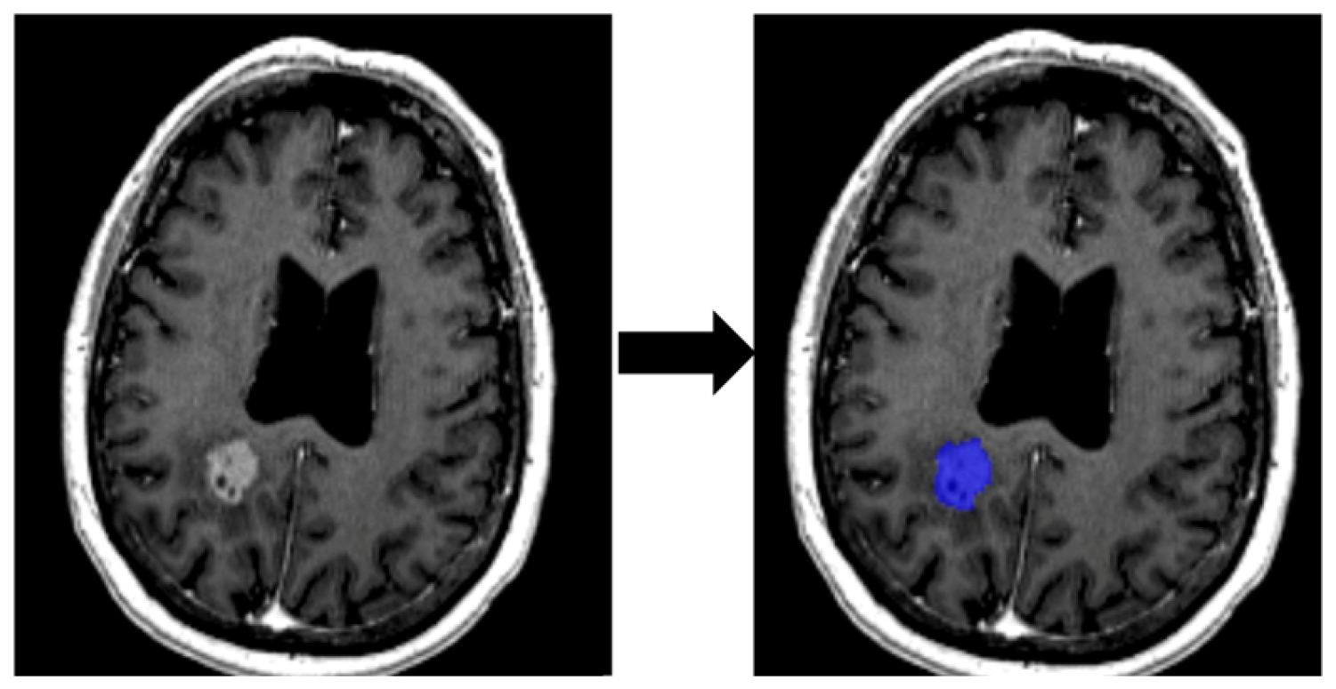 Ijtm 05 00050 g003 Ijtm 05 00050 g003