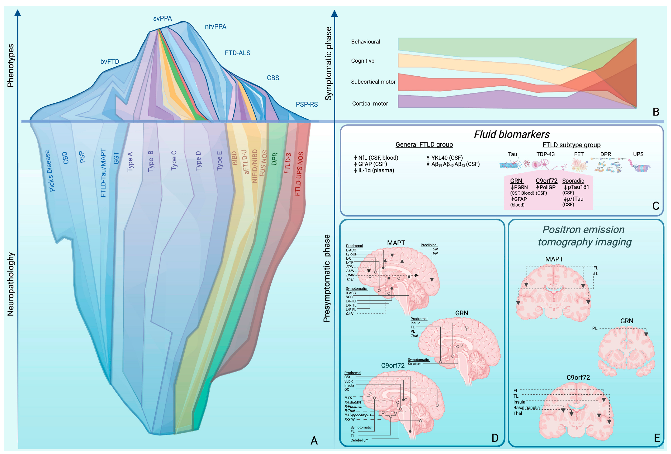 Ijtm 05 00052 g001 Ijtm 05 00052 g001