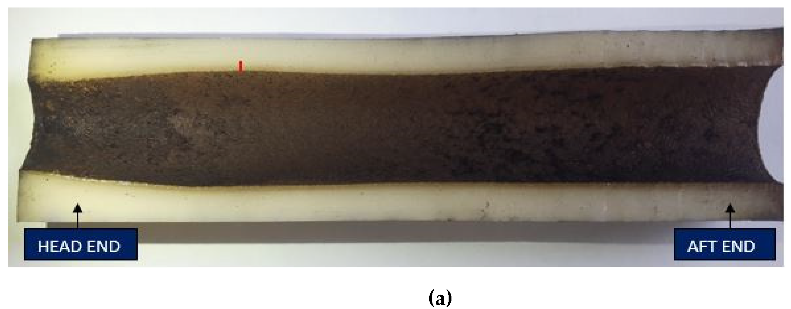 Ijtpp 05 00012 g008a