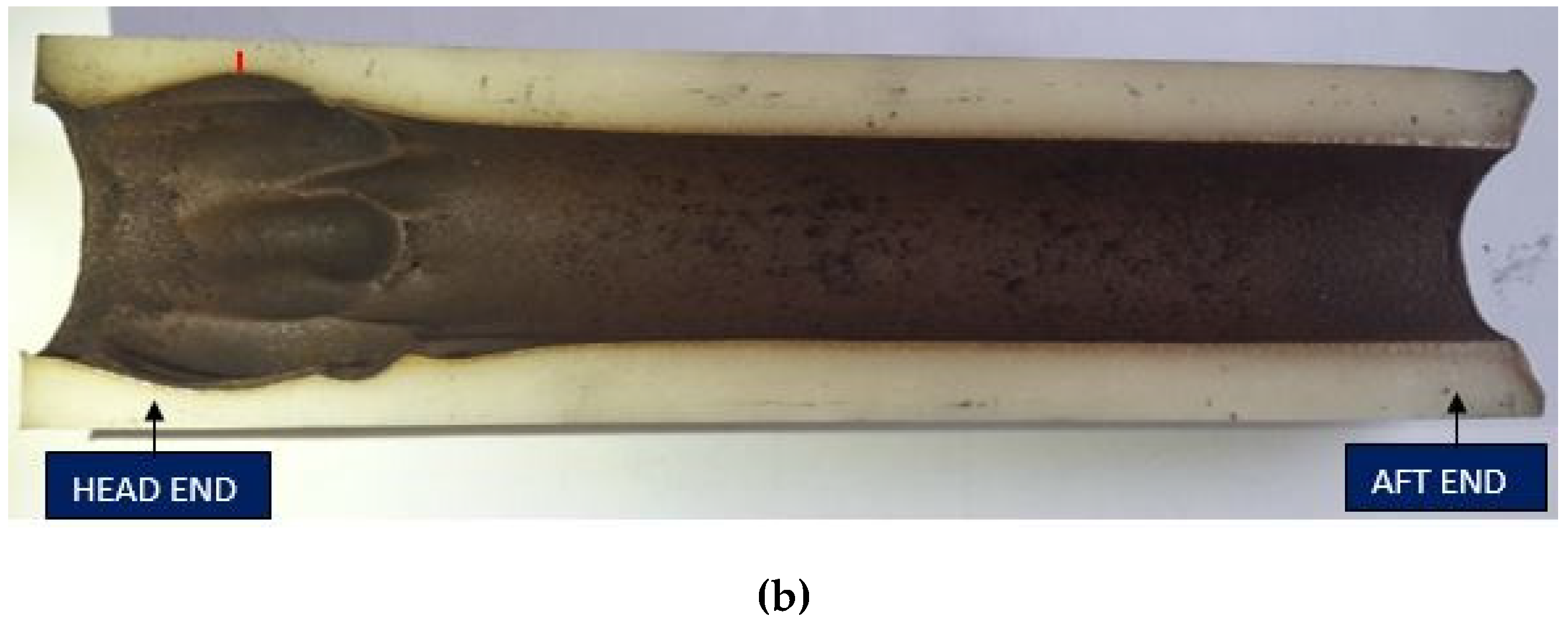 Ijtpp 05 00012 g008b