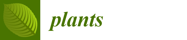 plants-logo