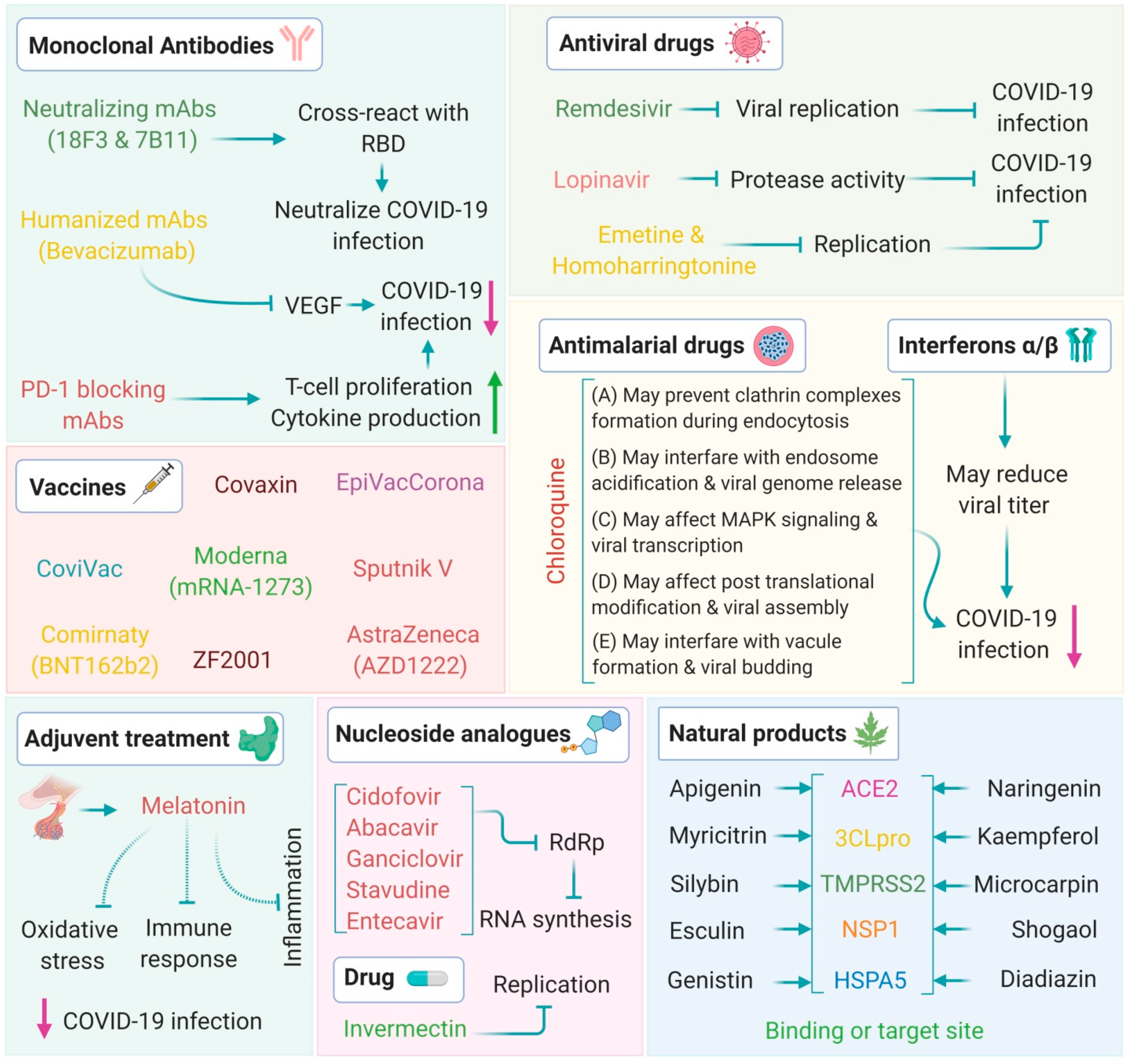 Immuno 01 00004 g006