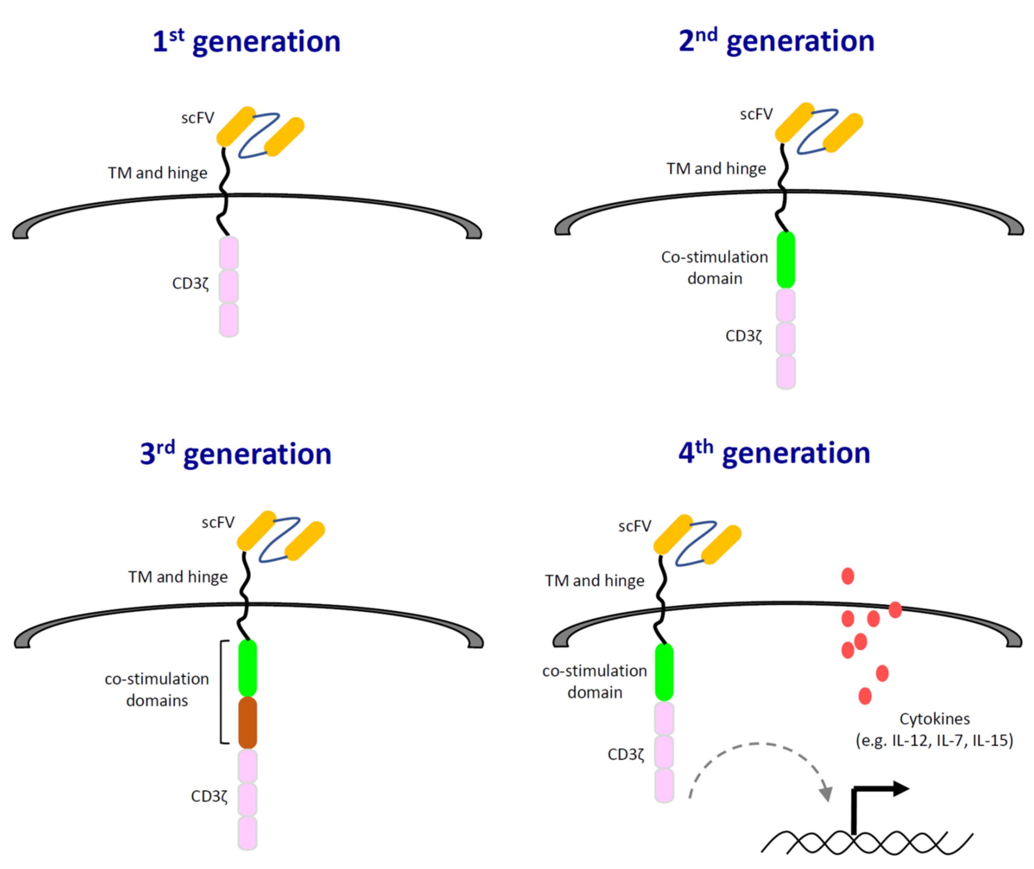 Immuno 01 00010 g001