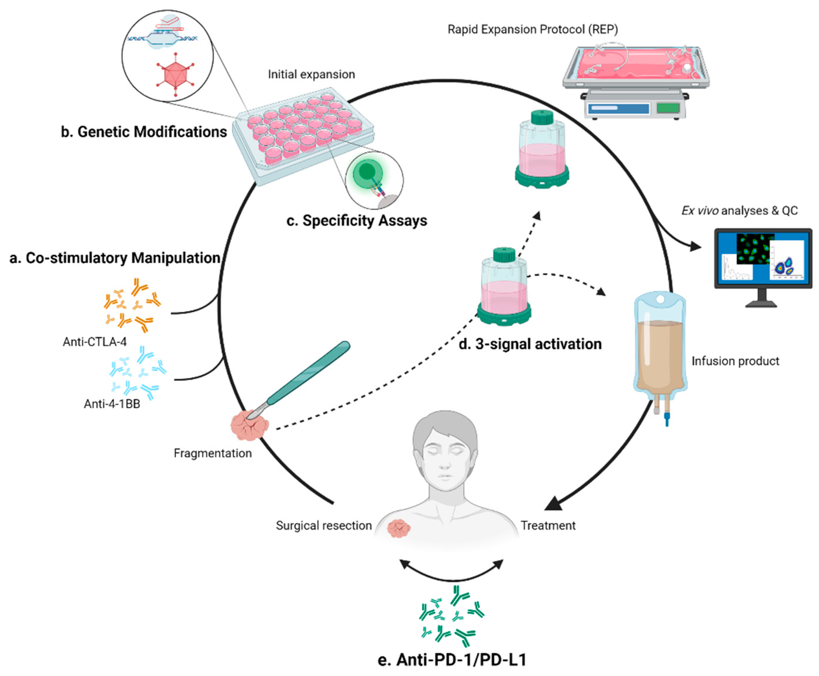 Immuno 01 00012 g002