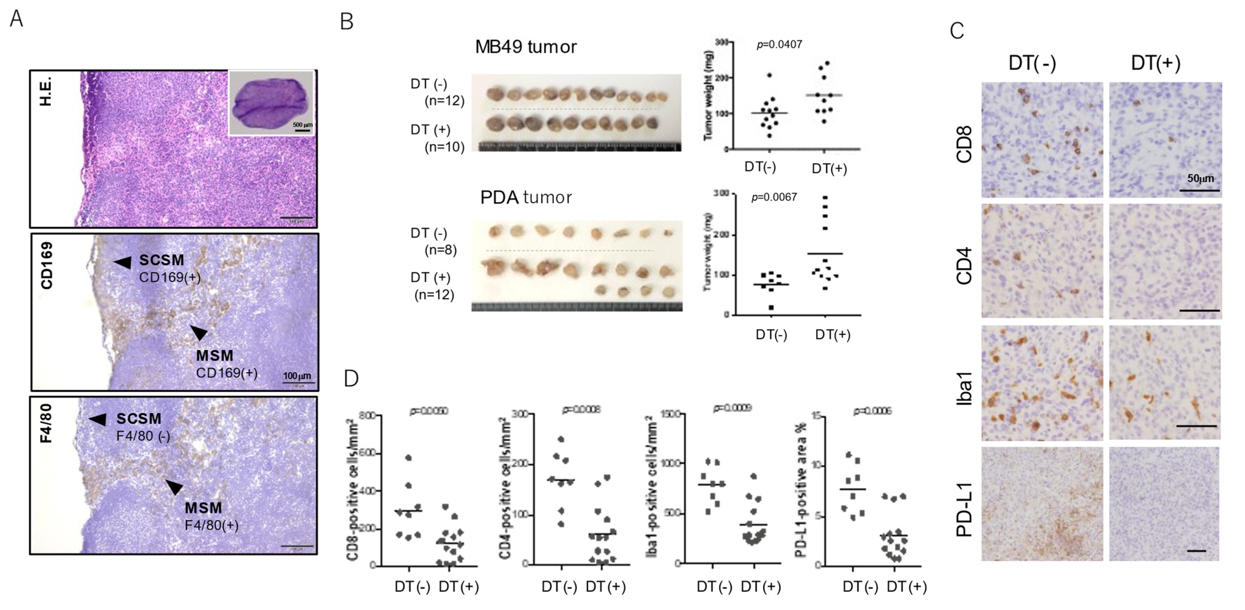 Immuno 01 00014 g001