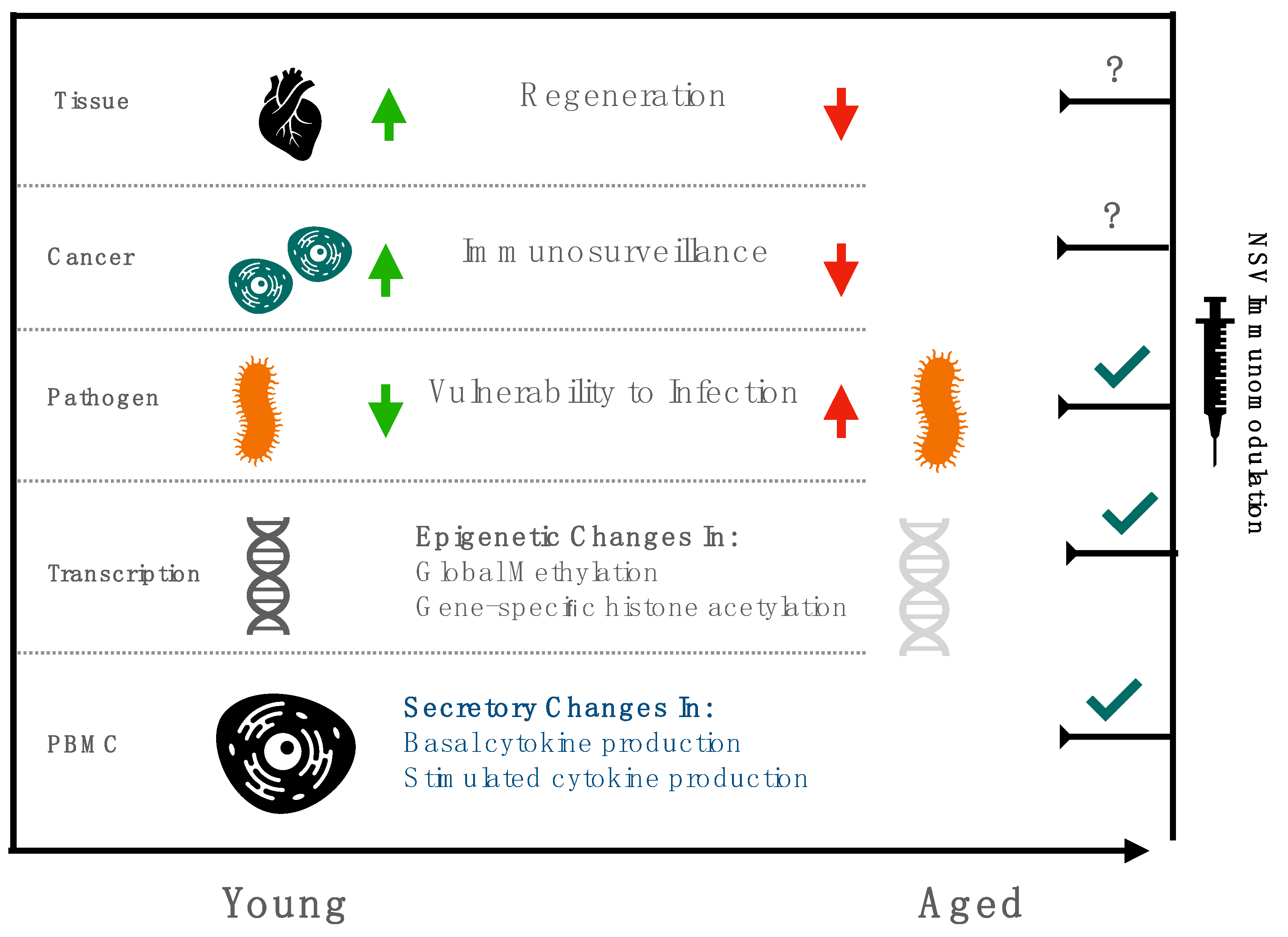 Immuno 01 00015 g001 550