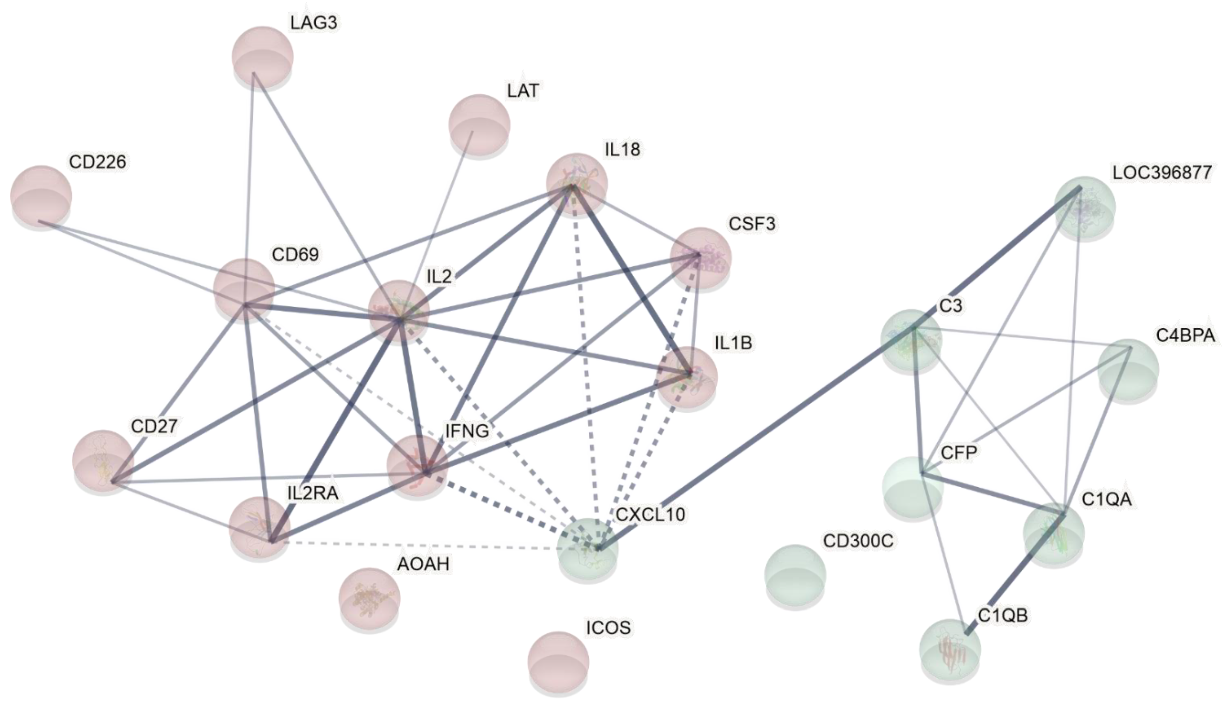 Immuno 01 00018 g002