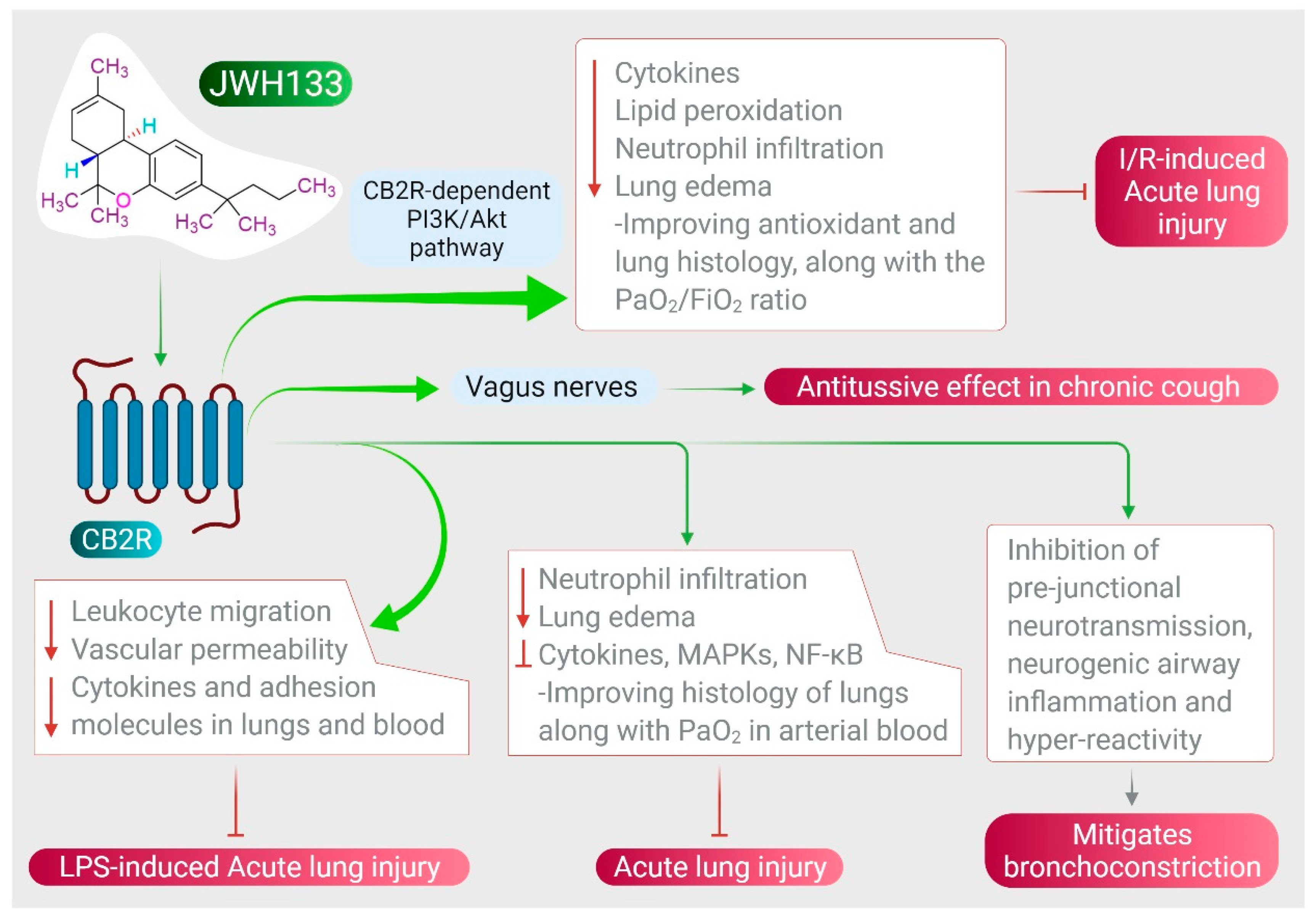 Immuno 01 00020 g003