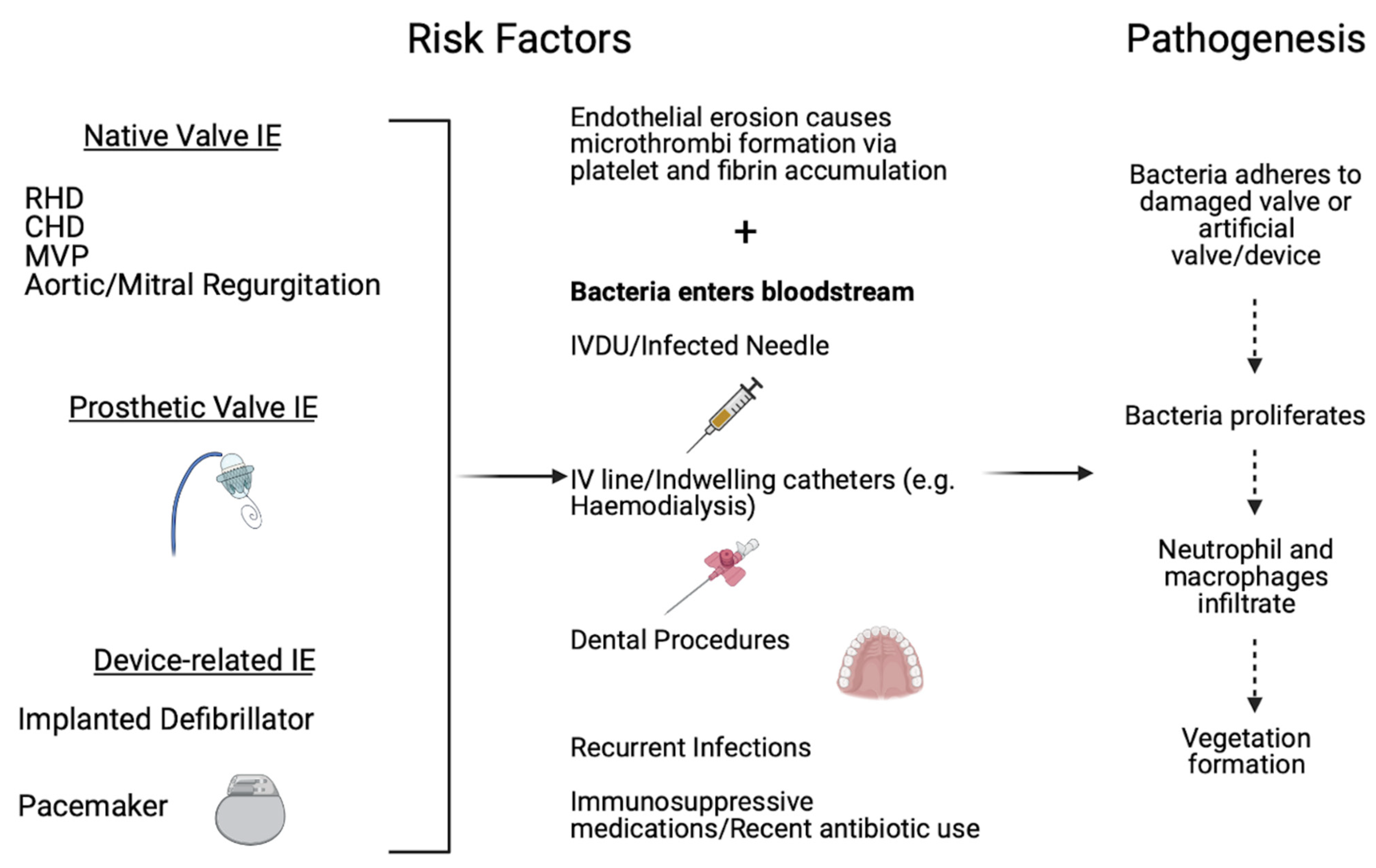 Safety and Outcome of Endovascular Treatment in Prestroke-Dependent  Patients