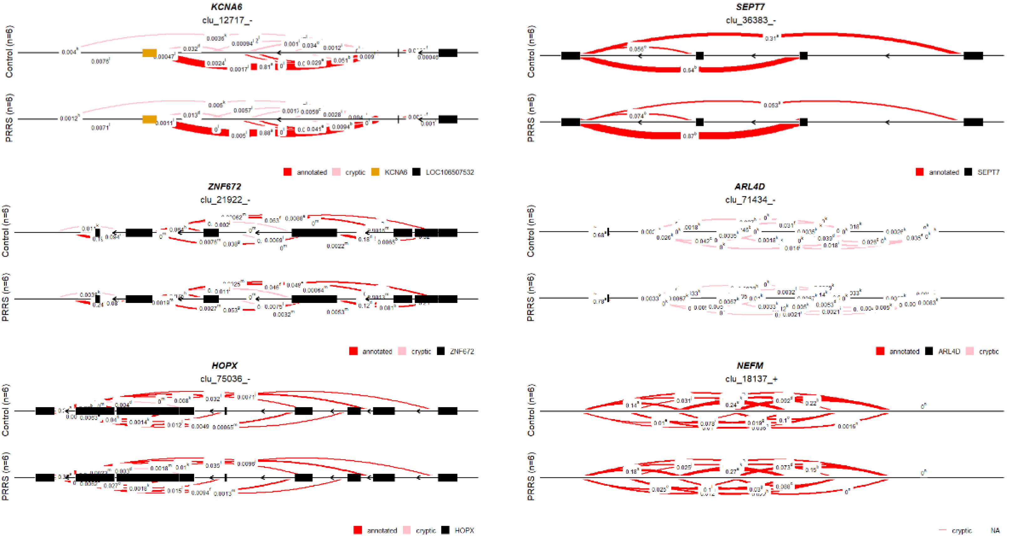 Immuno 01 00035 g002