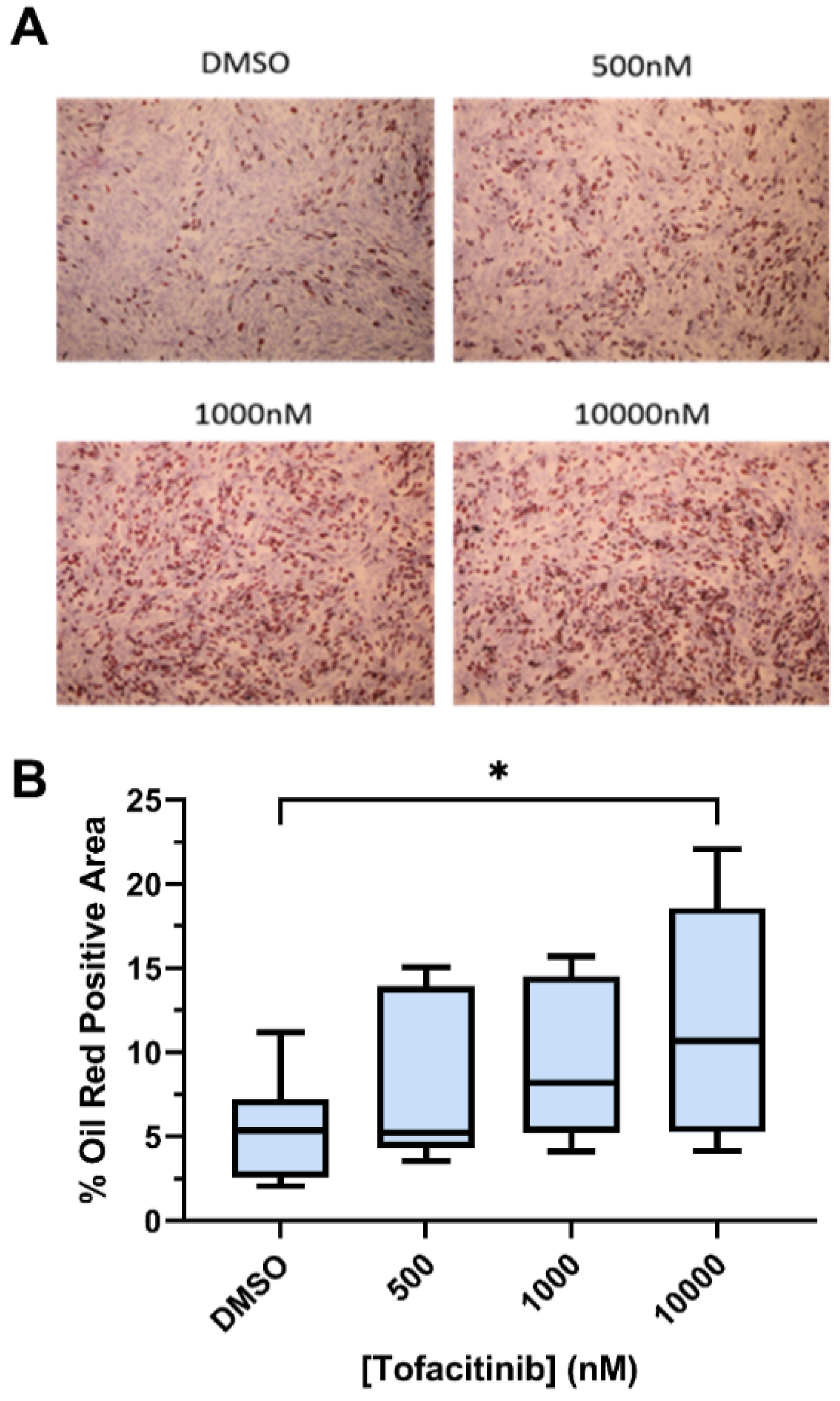 Immuno 01 00038 g002 Immuno 01 00038 g002