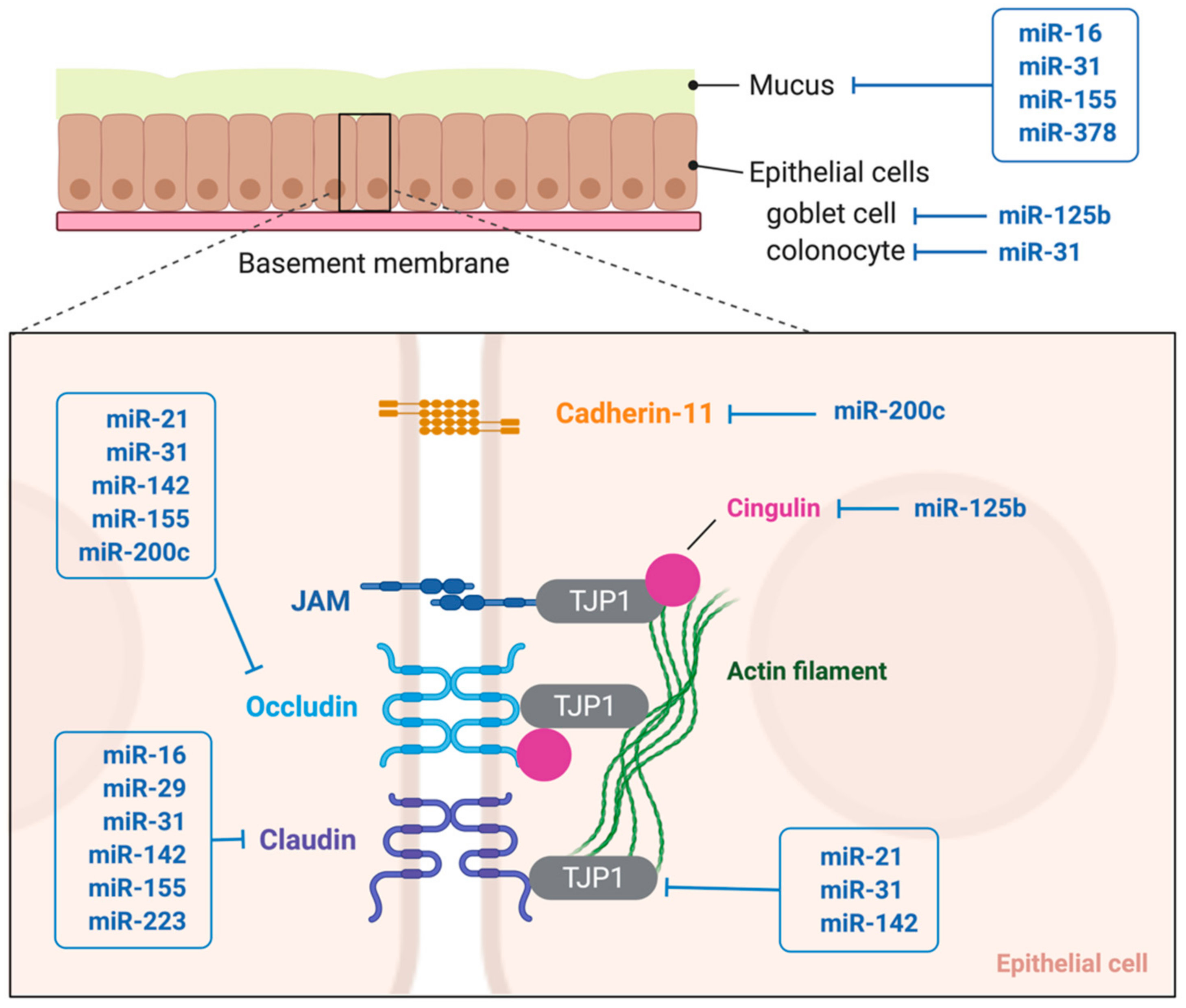Immuno 01 00039 g002 Immuno 01 00039 g002