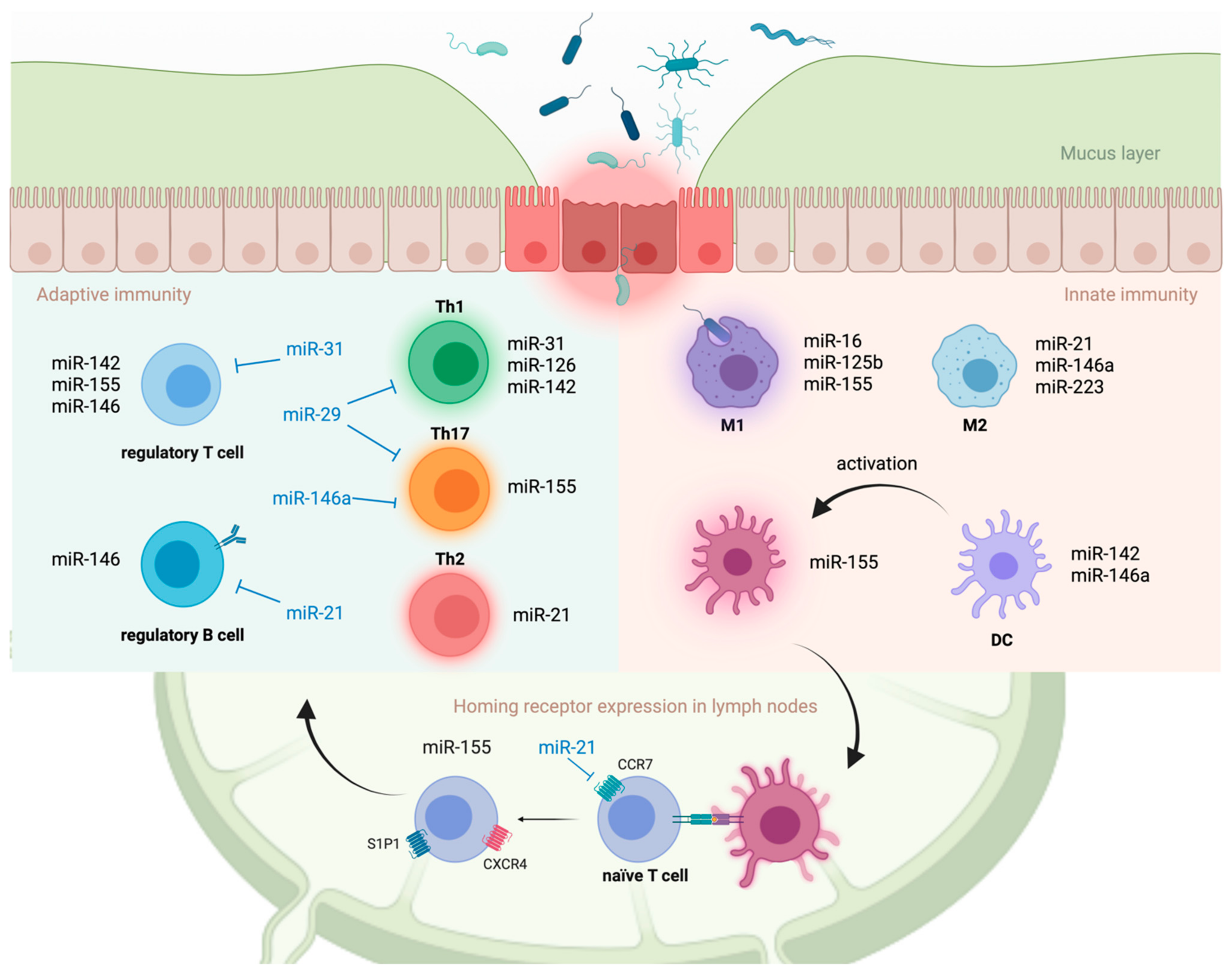Immuno 01 00039 g003 Immuno 01 00039 g003