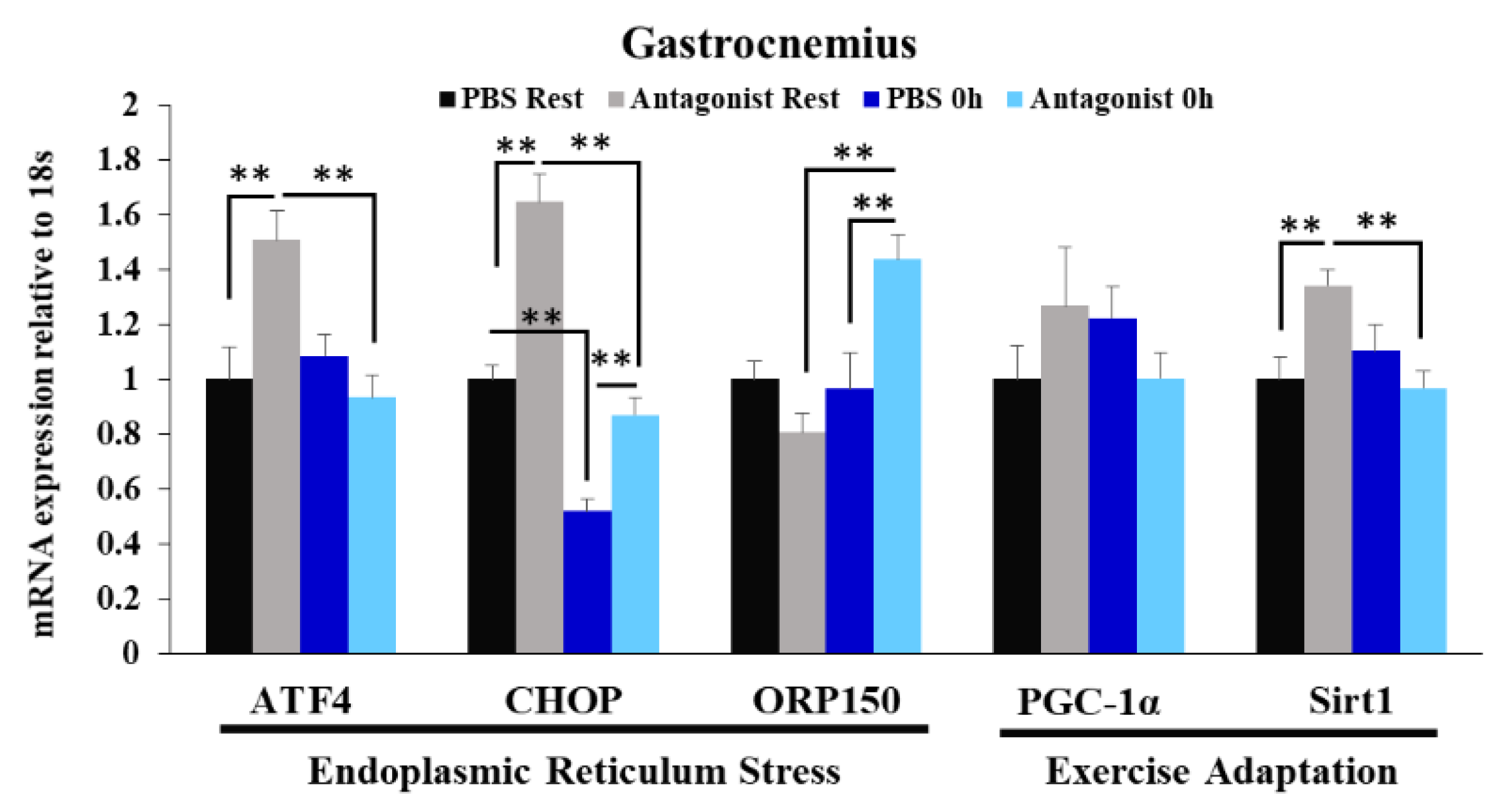 Immuno 02 00003 g004