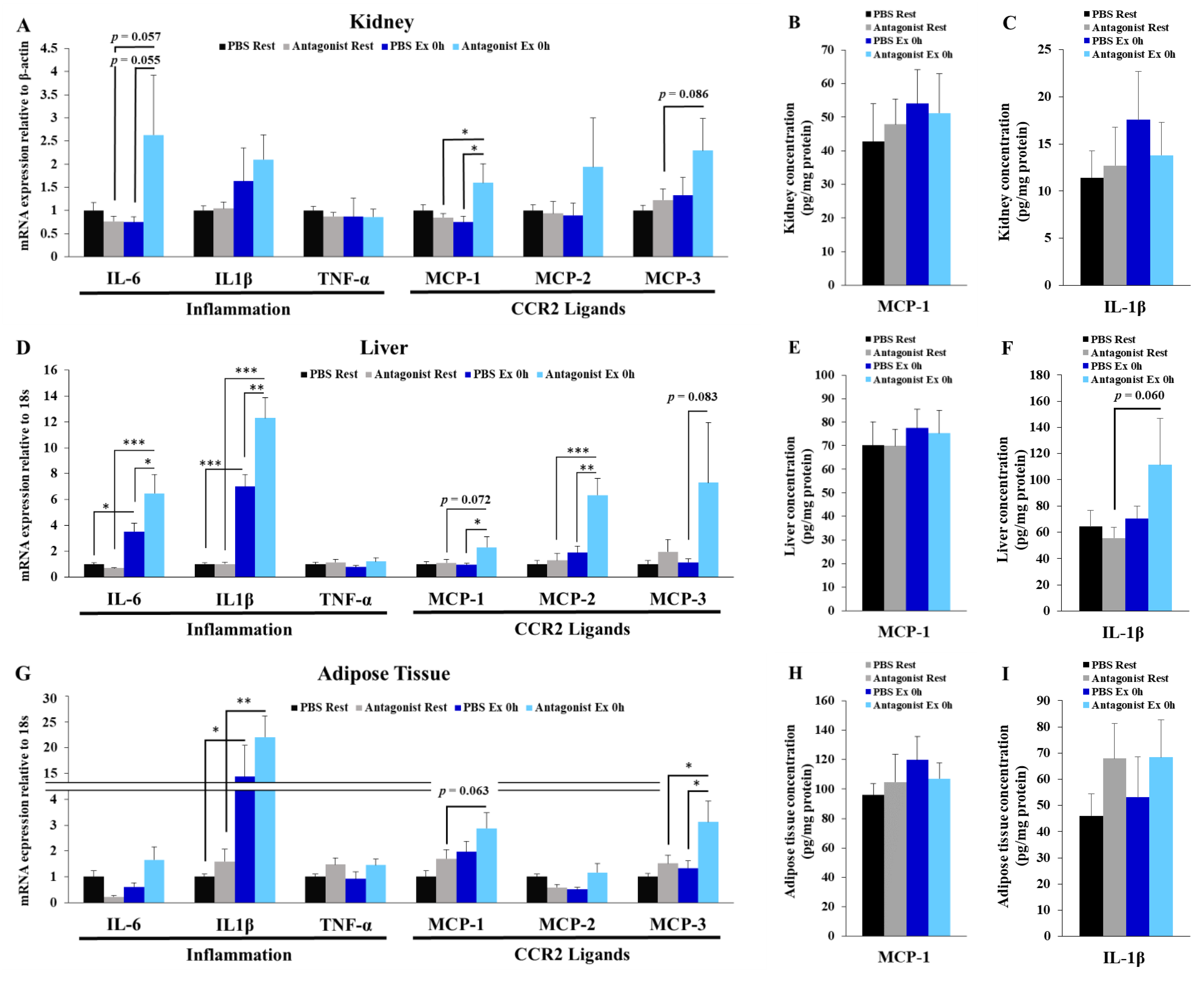Immuno 02 00003 g005