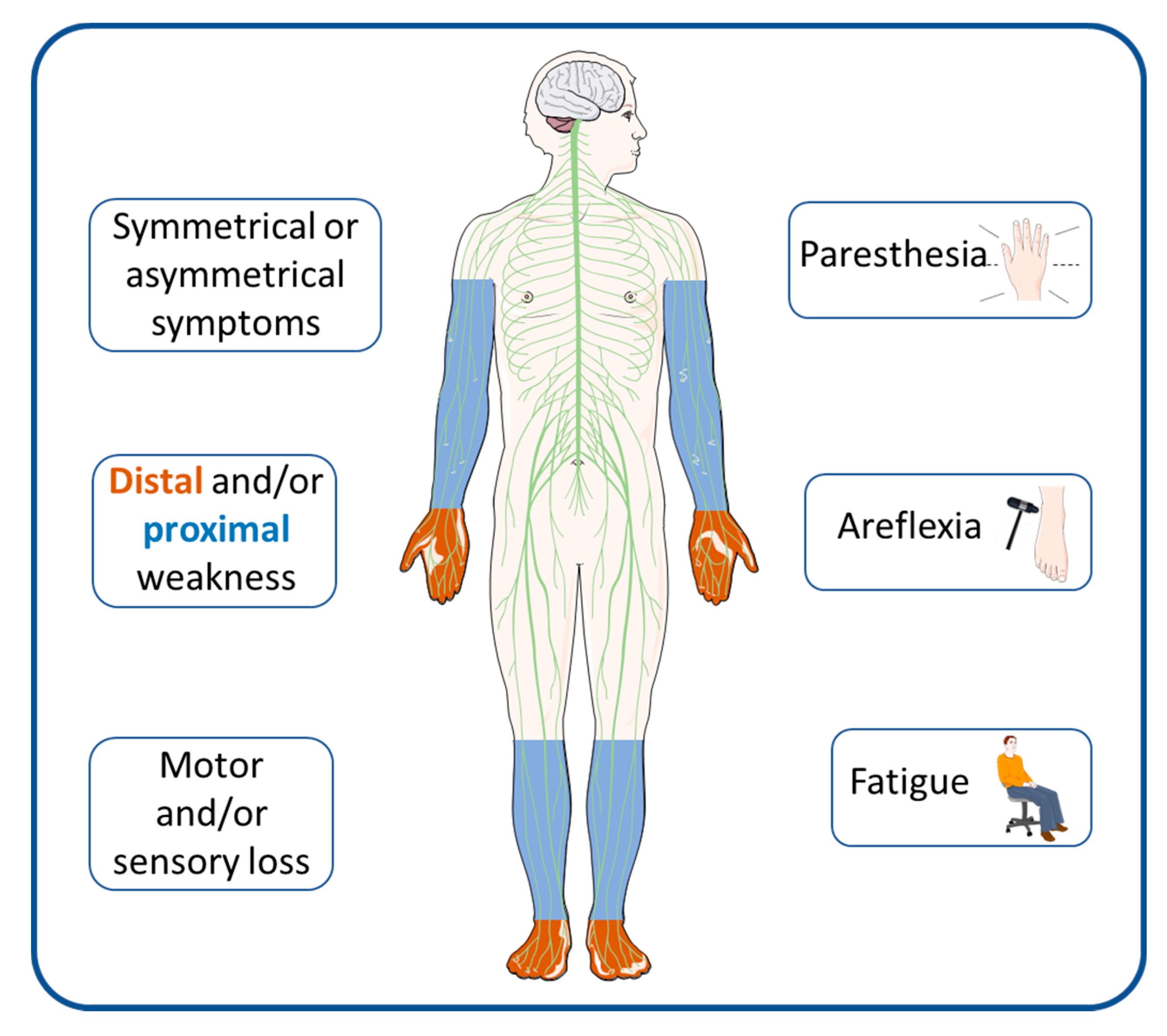 https://www.mdpi.com/immuno/immuno-02-00009/article_deploy/html/images/immuno-02-00009-g001.png